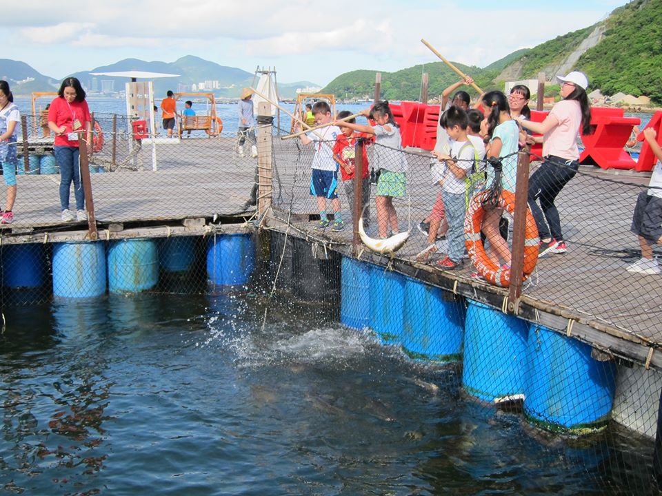 離島一日遊 南丫島 南丫島一日遊 南丫島景點 南丫島海鮮 南丫島 海鮮 南丫島 船 香港離島 一日遊 香港離島好去處