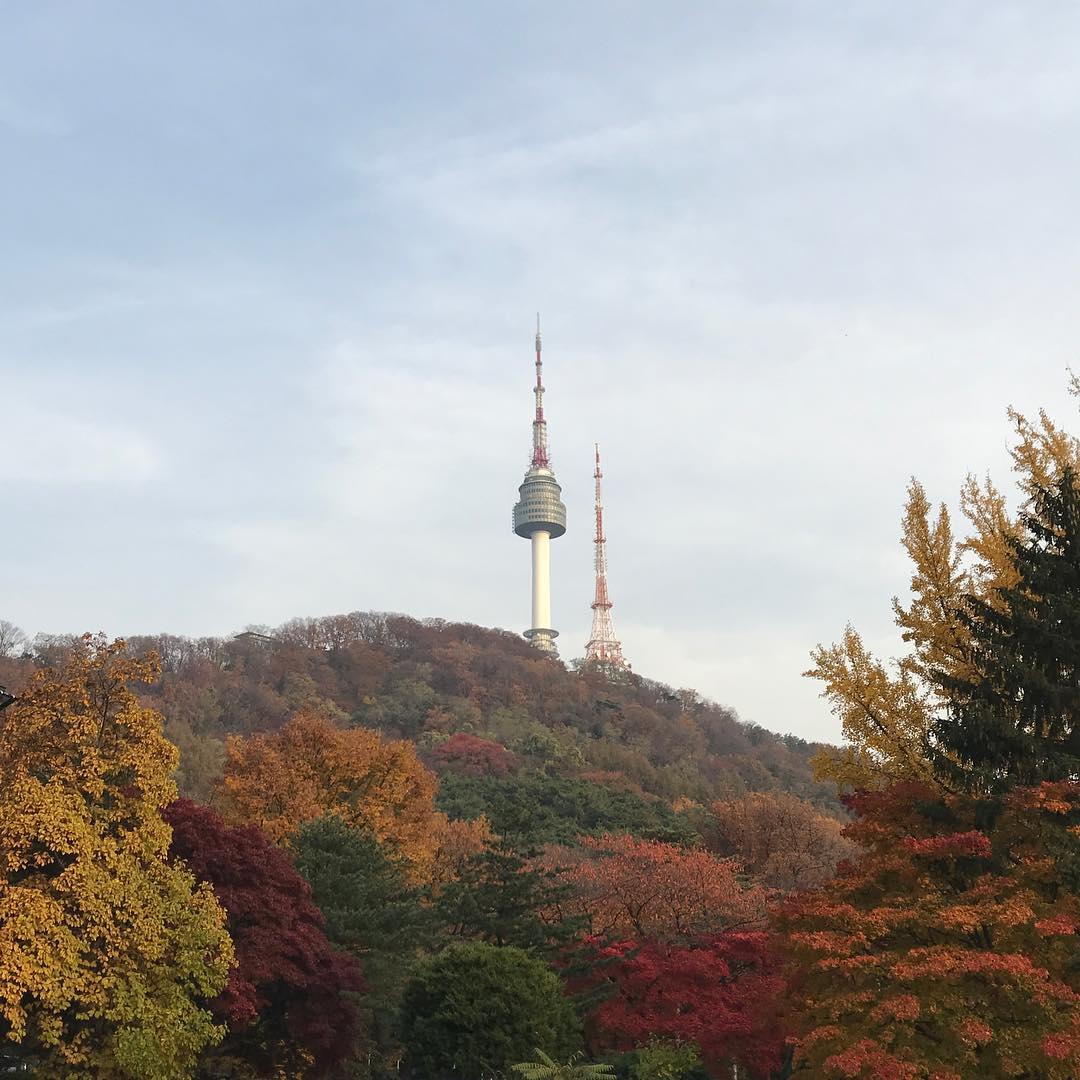 Kakao Friends主題樂園 南山公園 남산공원 首爾塔 南山塔 N首爾塔 南山纜車 濟州島自由行 濟州島景點 濟州島好去處 濟州島行程 濟州島自由行行程推介 濟州島自由行行程握薦 濟州島行程推介 濟州島行程握薦 濟州自由行 濟州景點 濟州好去處 濟州行程 濟州自由行行程推介 濟州自由行行程握薦 濟州行程推介 濟州行程握薦 釜山自由行 釜山景點 釜山好去處 釜山行程 釜山自由行行程推介 釜山自由行行程握薦 釜山行程推介 釜山行程握薦 首爾自由行 首爾景點 首爾好去處 首爾行程 首爾自由行行程推介 首爾自由行行程握薦 首爾行程推介 首爾行程握薦 2019 濟州島紅葉 2019 濟州島紅葉景點 2019 濟州島楓葉 2019 濟州島賞楓 濟州島賞楓景點 2019 濟州紅葉 2019 濟州紅葉景點 2019 濟州楓葉 2019 濟州賞楓 濟州賞楓景點 2019 釜山紅葉 2019 釜山紅葉景點 2019 釜山楓葉 2019 釜山賞楓 釜山賞楓景點 2019 首爾紅葉 2019 首爾紅葉景點 2019 首爾楓葉 2019 首爾賞楓 首爾賞楓景點 韓國紅葉 2019 韓國紅葉景點 韓國賞楓 韓國賞楓景點 韓國楓葉 2019韓國紅葉預測 韓國紅葉預測2019
