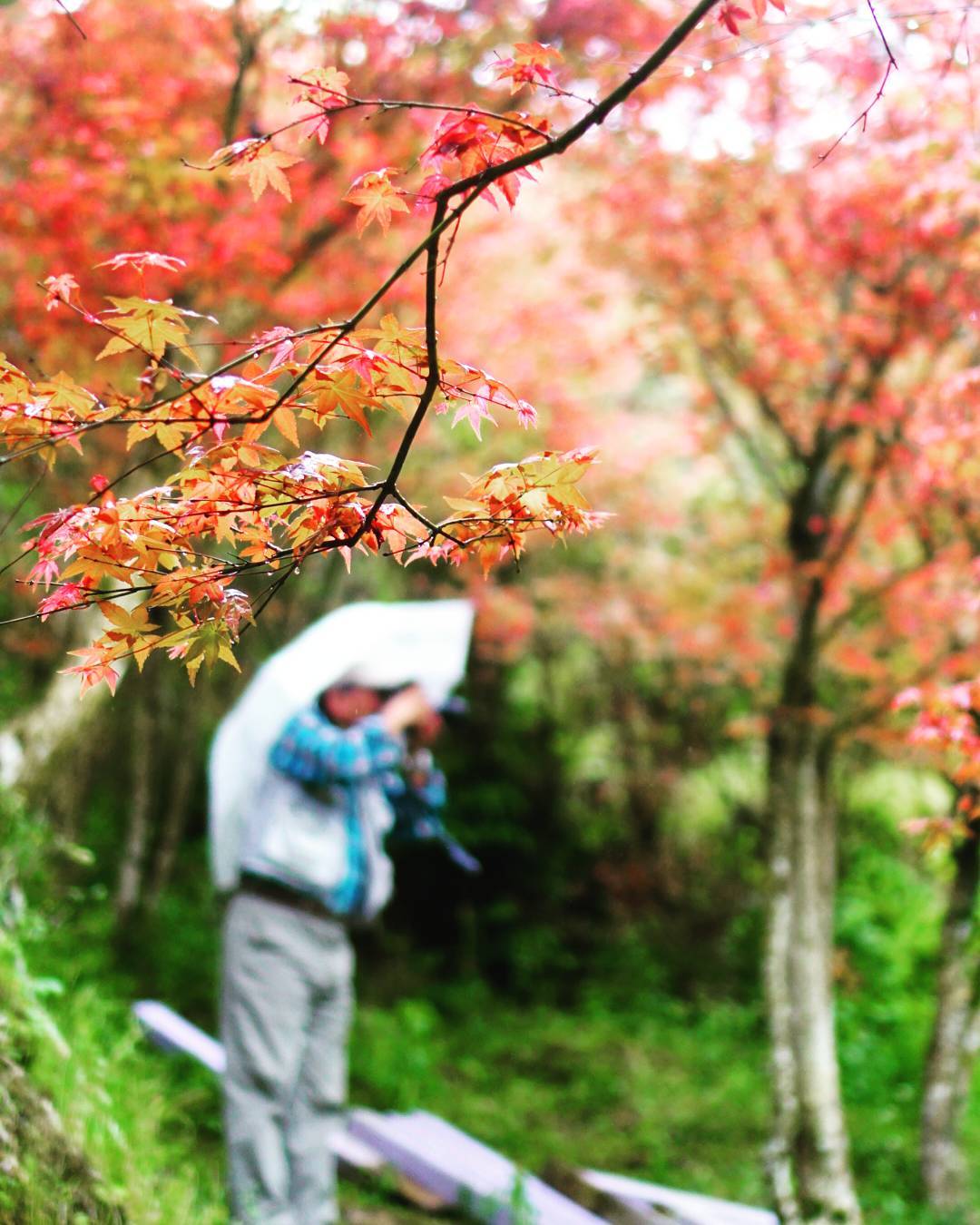 陽明山奧萬大樂活莊園|台灣 Taiwan 台灣必食 台灣必吃 台灣必到 台灣必去 台灣必買 台灣必掃 台灣自由行 台灣行程 台灣行程包 台灣懶人包 台灣好去處 台灣景點 台灣必到景點 台灣必去景點 台灣美食 台灣交通 台灣攻略 台灣自由行行程 台灣自由行行程推薦 台灣住宿 台灣酒店 台灣飯店 台灣住宿推薦 台灣酒店推薦 台灣飯店推薦 台灣住宿推介 台灣酒店推介 台灣飯店推介 台灣必住酒店 台灣必住飯店 台灣必食2019 台灣必吃2019 台灣必到2019 台灣必去2019 台灣必買2019 台灣必掃2019 台灣自由行2019 台灣行程2019 台灣行程包2019 台灣懶人包2019 台灣好去處2019 台灣景點2019 台灣必到景點2019 台灣必去景點2019 台灣美食2019 台灣交通2019 台灣攻略2019 台灣自由行行程2019 台灣自由行行程推薦2019 台灣住宿2019 台灣酒店2019 台灣飯店2019 台灣住宿推薦2019 台灣酒店推薦2019 台灣飯店推薦2019 台灣住宿推介2019 台灣酒店推介2019 台灣飯店推介2019 台灣必住酒店2019 台灣必住飯店2019 台北 Taipei 台北必食 台北必吃 台北必到 台北必去 台北必買 台北必掃 台北自由行 台北行程 台北行程包 台北懶人包 台北好去處 台北景點 台北必到景點 台北必去景點 台北美食 台北交通 台北攻略 台北自由行行程 台北自由行行程推薦 台北酒店 台北飯店 台北酒店推薦 台北飯店推薦 台北必住酒店 台北必住飯店 台北必食2019 台北必吃2019 台北必到2019 台北必去2019 台北必買2019 台北必掃2019 台北自由行2019 台北行程2019 台北行程包2019 台北懶人包2019 台北好去處2019 台北景點2019 台北必到景點2019 台北必去景點2019 台北美食2019 台北交通2019 台北攻略2019 台北自由行行程2019 台北自由行行程推薦2019 台北酒店2019 台北飯店2019 台北酒店推薦2019 台北飯店推薦2019 台北必住酒店2019 台北必住飯店2019 台中 Taichung 台中必食 台中必吃 台中必到 台中必去 台中必買 台中必掃 台中自由行 台中行程 台中行程包 台中懶人包 台中好去處 台中景點 台中必到景點 台中必去景點 台中美食 台中交通 台中攻略 台中自由行行程 台中自由行行程推薦 台中酒店 台中飯店 台中酒店推薦 台中飯店推薦 台中必住酒店 台中必住飯店 台中必食2019 台中必吃2019 台中必到2019 台中必去2019 台中必買2019 台中必掃2019 台中自由行2019 台中行程2019 台中行程包2019 台中懶人包2019 台中好去處2019 景點2019 台中必到景點2019 必去景點2019 台中美食2019 台中交通2019 台中攻略2019 台中自由行行程2019 台中自由行行程推薦2019 台中酒店2019 台中飯店2019 台中酒店推薦2019 台中飯店推薦2019 台中必住酒店2019 台中必住飯店2019 高雄 Kaohsiung 高雄必食 高雄必吃 高雄必到 高雄必去 高雄必買 高雄必掃 高雄自由行 高雄行程 高雄行程包 高雄懶人包 高雄好去處 高雄景點 高雄必到景點 高雄必去景點 高雄美食 高雄交通 高雄攻略 高雄自由行行程 高雄自由行行程推薦 高雄酒店 高雄飯店 高雄酒店推薦 高雄飯店推薦 高雄必住酒店 高雄必住飯店 高雄必食2019 高雄必吃2019 高雄必到2019 高雄必去2019 高雄必買2019 高雄必掃2019 高雄自由行2019 高雄行程2019 高雄行程包2019 高雄懶人包2019 高雄好去處2019 景點2019 高雄必到景點2019 必去景點2019 高雄美食2019 高雄交通2019 高雄攻略2019 高雄自由行行程2019 高雄自由行行程推薦2019 高雄酒店2019 高雄飯店2019 高雄酒店推薦2019 高雄飯店推薦2019 高雄必住酒店2019 高雄必住飯店2019 花蓮 Kaohsiung 花蓮必食 花蓮必吃 花蓮必到 花蓮必去 花蓮必買 花蓮必掃 花蓮自由行 花蓮行程 花蓮行程包 花蓮懶人包 花蓮好去處 花蓮景點 花蓮必到景點 花蓮必去景點 花蓮美食 花蓮交通 花蓮攻略 花蓮自由行行程 花蓮自由行行程推薦 花蓮酒店 花蓮飯店 花蓮酒店推薦 花蓮飯店推薦 花蓮必住酒店 花蓮必住飯店 花蓮必食2019 花蓮必吃2019 花蓮必到2019 花蓮必去2019 花蓮必買2019 花蓮必掃2019 花蓮自由行2019 花蓮行程2019 花蓮行程包2019 花蓮懶人包2019 花蓮好去處2019 景點2019 花蓮必到景點2019 必去景點2019 花蓮美食2019 花蓮交通2019 花蓮攻略2019 花蓮自由行行程2019 花蓮自由行行程推薦2019 花蓮酒店2019 花蓮飯店2019 花蓮酒店推薦2019 花蓮飯店推薦2019 花蓮必住酒店2019 花蓮必住飯店2019 紅葉 紅葉2019 楓葉 楓葉2019 賞楓 賞楓2019 台灣紅葉 台灣紅葉2019 台灣楓葉 台灣楓葉2019 台灣賞楓 台灣賞楓2019 台北紅葉 台北紅葉2019 台北楓葉 台北楓葉2019 台北賞楓 台北賞楓2019 台中紅葉 台中紅葉2019 台中楓葉 台中楓葉2019 台中賞楓 台中賞楓2019 嘉義 嘉義紅葉 嘉義紅葉2019 嘉義楓葉 嘉義楓葉2019 嘉義賞楓 嘉義賞楓2019 陽明山 陽明山紅葉 陽明山紅葉2019 陽明山楓葉 陽明山楓葉2019 陽明山賞楓 陽明山賞楓2019 阿里山 阿里山紅葉 阿里山紅葉2019 阿里山楓葉 阿里山楓葉2019 阿里山賞楓 阿里山賞楓2019 奧萬大紅葉 奧萬大紅葉2019 奧萬大楓葉 奧萬大楓葉2019 奧萬大賞楓 奧萬大賞楓2019 陽明山國家公園 陽明山國家公園紅葉 陽明山國家公園紅葉2019 陽明山國家公園楓葉 陽明山國家公園楓葉2019 陽明山國家公園賞楓 陽明山國家公園賞楓2019 陽明山奧萬大樂活莊園 陽明山奧萬大樂活莊園紅葉 陽明山奧萬大樂活莊園紅葉2019 陽明山奧萬大樂活莊園楓葉 陽明山奧萬大樂活莊園楓葉2019 陽明山奧萬大樂活莊園賞楓 陽明山奧萬大樂活莊園賞楓2019 武陵農場 武陵農場紅葉 武陵農場紅葉2019 武陵農場楓葉 武陵農場楓葉2019 武陵農場賞楓 武陵農場賞楓2019 杉林溪森林生態渡假園區 杉林溪森林生態渡假園區紅葉 杉林溪森林生態渡假園區紅葉2019 楓葉 杉林溪森林生態渡假園區楓葉2019 杉林溪森林生態渡假園區賞楓 杉林溪森林生態渡假園區賞楓2019 奧萬大國家森林遊樂區 奧萬大國家森林遊樂區紅葉 奧萬大國家森林遊樂區紅葉2019 奧萬大國家森林遊樂區楓葉 奧萬大國家森林遊樂區楓葉2019 奧萬大國家森林遊樂區賞楓 奧萬大國家森林遊樂區賞楓2019 阿里山森林遊樂區 阿里山森林遊樂區紅葉 阿里山森林遊樂區紅葉2019 阿里山森林遊樂區楓葉 阿里山森林遊樂區楓葉2019 阿里山森林遊樂區賞楓 阿里山森林遊樂區賞楓2019 奧萬大樂活莊園紅葉 台北奧萬大樂活莊園菜單 台北奧萬大樂活莊園門票 台北奧萬大樂活莊園交通 台北奧萬大樂活莊園2018 奧萬大樂活莊園11月 台北奧萬大交通公車 台北奧萬大2019 陽明山奧萬大2019