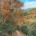 陽明山奧萬大樂活莊園|台灣 Taiwan 台灣必食 台灣必吃 台灣必到 台灣必去 台灣必買 台灣必掃 台灣自由行 台灣行程 台灣行程包 台灣懶人包 台灣好去處 台灣景點 台灣必到景點 台灣必去景點 台灣美食 台灣交通 台灣攻略 台灣自由行行程 台灣自由行行程推薦 台灣住宿 台灣酒店 台灣飯店 台灣住宿推薦 台灣酒店推薦 台灣飯店推薦 台灣住宿推介 台灣酒店推介 台灣飯店推介 台灣必住酒店 台灣必住飯店 台灣必食2019 台灣必吃2019 台灣必到2019 台灣必去2019 台灣必買2019 台灣必掃2019 台灣自由行2019 台灣行程2019 台灣行程包2019 台灣懶人包2019 台灣好去處2019 台灣景點2019 台灣必到景點2019 台灣必去景點2019 台灣美食2019 台灣交通2019 台灣攻略2019 台灣自由行行程2019 台灣自由行行程推薦2019 台灣住宿2019 台灣酒店2019 台灣飯店2019 台灣住宿推薦2019 台灣酒店推薦2019 台灣飯店推薦2019 台灣住宿推介2019 台灣酒店推介2019 台灣飯店推介2019 台灣必住酒店2019 台灣必住飯店2019 台北 Taipei 台北必食 台北必吃 台北必到 台北必去 台北必買 台北必掃 台北自由行 台北行程 台北行程包 台北懶人包 台北好去處 台北景點 台北必到景點 台北必去景點 台北美食 台北交通 台北攻略 台北自由行行程 台北自由行行程推薦 台北酒店 台北飯店 台北酒店推薦 台北飯店推薦 台北必住酒店 台北必住飯店 台北必食2019 台北必吃2019 台北必到2019 台北必去2019 台北必買2019 台北必掃2019 台北自由行2019 台北行程2019 台北行程包2019 台北懶人包2019 台北好去處2019 台北景點2019 台北必到景點2019 台北必去景點2019 台北美食2019 台北交通2019 台北攻略2019 台北自由行行程2019 台北自由行行程推薦2019 台北酒店2019 台北飯店2019 台北酒店推薦2019 台北飯店推薦2019 台北必住酒店2019 台北必住飯店2019 台中 Taichung 台中必食 台中必吃 台中必到 台中必去 台中必買 台中必掃 台中自由行 台中行程 台中行程包 台中懶人包 台中好去處 台中景點 台中必到景點 台中必去景點 台中美食 台中交通 台中攻略 台中自由行行程 台中自由行行程推薦 台中酒店 台中飯店 台中酒店推薦 台中飯店推薦 台中必住酒店 台中必住飯店 台中必食2019 台中必吃2019 台中必到2019 台中必去2019 台中必買2019 台中必掃2019 台中自由行2019 台中行程2019 台中行程包2019 台中懶人包2019 台中好去處2019 景點2019 台中必到景點2019 必去景點2019 台中美食2019 台中交通2019 台中攻略2019 台中自由行行程2019 台中自由行行程推薦2019 台中酒店2019 台中飯店2019 台中酒店推薦2019 台中飯店推薦2019 台中必住酒店2019 台中必住飯店2019 高雄 Kaohsiung 高雄必食 高雄必吃 高雄必到 高雄必去 高雄必買 高雄必掃 高雄自由行 高雄行程 高雄行程包 高雄懶人包 高雄好去處 高雄景點 高雄必到景點 高雄必去景點 高雄美食 高雄交通 高雄攻略 高雄自由行行程 高雄自由行行程推薦 高雄酒店 高雄飯店 高雄酒店推薦 高雄飯店推薦 高雄必住酒店 高雄必住飯店 高雄必食2019 高雄必吃2019 高雄必到2019 高雄必去2019 高雄必買2019 高雄必掃2019 高雄自由行2019 高雄行程2019 高雄行程包2019 高雄懶人包2019 高雄好去處2019 景點2019 高雄必到景點2019 必去景點2019 高雄美食2019 高雄交通2019 高雄攻略2019 高雄自由行行程2019 高雄自由行行程推薦2019 高雄酒店2019 高雄飯店2019 高雄酒店推薦2019 高雄飯店推薦2019 高雄必住酒店2019 高雄必住飯店2019 花蓮 Kaohsiung 花蓮必食 花蓮必吃 花蓮必到 花蓮必去 花蓮必買 花蓮必掃 花蓮自由行 花蓮行程 花蓮行程包 花蓮懶人包 花蓮好去處 花蓮景點 花蓮必到景點 花蓮必去景點 花蓮美食 花蓮交通 花蓮攻略 花蓮自由行行程 花蓮自由行行程推薦 花蓮酒店 花蓮飯店 花蓮酒店推薦 花蓮飯店推薦 花蓮必住酒店 花蓮必住飯店 花蓮必食2019 花蓮必吃2019 花蓮必到2019 花蓮必去2019 花蓮必買2019 花蓮必掃2019 花蓮自由行2019 花蓮行程2019 花蓮行程包2019 花蓮懶人包2019 花蓮好去處2019 景點2019 花蓮必到景點2019 必去景點2019 花蓮美食2019 花蓮交通2019 花蓮攻略2019 花蓮自由行行程2019 花蓮自由行行程推薦2019 花蓮酒店2019 花蓮飯店2019 花蓮酒店推薦2019 花蓮飯店推薦2019 花蓮必住酒店2019 花蓮必住飯店2019 紅葉 紅葉2019 楓葉 楓葉2019 賞楓 賞楓2019 台灣紅葉 台灣紅葉2019 台灣楓葉 台灣楓葉2019 台灣賞楓 台灣賞楓2019 台北紅葉 台北紅葉2019 台北楓葉 台北楓葉2019 台北賞楓 台北賞楓2019 台中紅葉 台中紅葉2019 台中楓葉 台中楓葉2019 台中賞楓 台中賞楓2019 嘉義 嘉義紅葉 嘉義紅葉2019 嘉義楓葉 嘉義楓葉2019 嘉義賞楓 嘉義賞楓2019 陽明山 陽明山紅葉 陽明山紅葉2019 陽明山楓葉 陽明山楓葉2019 陽明山賞楓 陽明山賞楓2019 阿里山 阿里山紅葉 阿里山紅葉2019 阿里山楓葉 阿里山楓葉2019 阿里山賞楓 阿里山賞楓2019 奧萬大紅葉 奧萬大紅葉2019 奧萬大楓葉 奧萬大楓葉2019 奧萬大賞楓 奧萬大賞楓2019 陽明山國家公園 陽明山國家公園紅葉 陽明山國家公園紅葉2019 陽明山國家公園楓葉 陽明山國家公園楓葉2019 陽明山國家公園賞楓 陽明山國家公園賞楓2019 陽明山奧萬大樂活莊園 陽明山奧萬大樂活莊園紅葉 陽明山奧萬大樂活莊園紅葉2019 陽明山奧萬大樂活莊園楓葉 陽明山奧萬大樂活莊園楓葉2019 陽明山奧萬大樂活莊園賞楓 陽明山奧萬大樂活莊園賞楓2019 武陵農場 武陵農場紅葉 武陵農場紅葉2019 武陵農場楓葉 武陵農場楓葉2019 武陵農場賞楓 武陵農場賞楓2019 杉林溪森林生態渡假園區 杉林溪森林生態渡假園區紅葉 杉林溪森林生態渡假園區紅葉2019 楓葉 杉林溪森林生態渡假園區楓葉2019 杉林溪森林生態渡假園區賞楓 杉林溪森林生態渡假園區賞楓2019 奧萬大國家森林遊樂區 奧萬大國家森林遊樂區紅葉 奧萬大國家森林遊樂區紅葉2019 奧萬大國家森林遊樂區楓葉 奧萬大國家森林遊樂區楓葉2019 奧萬大國家森林遊樂區賞楓 奧萬大國家森林遊樂區賞楓2019 阿里山森林遊樂區 阿里山森林遊樂區紅葉 阿里山森林遊樂區紅葉2019 阿里山森林遊樂區楓葉 阿里山森林遊樂區楓葉2019 阿里山森林遊樂區賞楓 阿里山森林遊樂區賞楓2019 奧萬大樂活莊園紅葉 台北奧萬大樂活莊園菜單 台北奧萬大樂活莊園門票 台北奧萬大樂活莊園交通 台北奧萬大樂活莊園2018 奧萬大樂活莊園11月 台北奧萬大交通公車 台北奧萬大2019 陽明山奧萬大2019