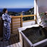 和室 南紀白濱 天山閣酒店 海ゆう庭 (Shirahama Onsen Hotel Tenzankaku Kaiyutei)