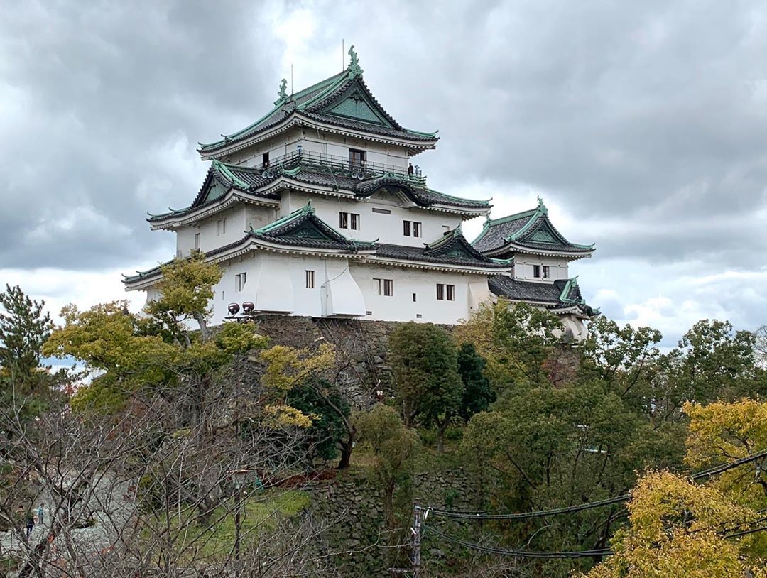 【和歌山自由行】10個必去和歌山景點推介!世界遺產、溫泉、貓咪車站都有!