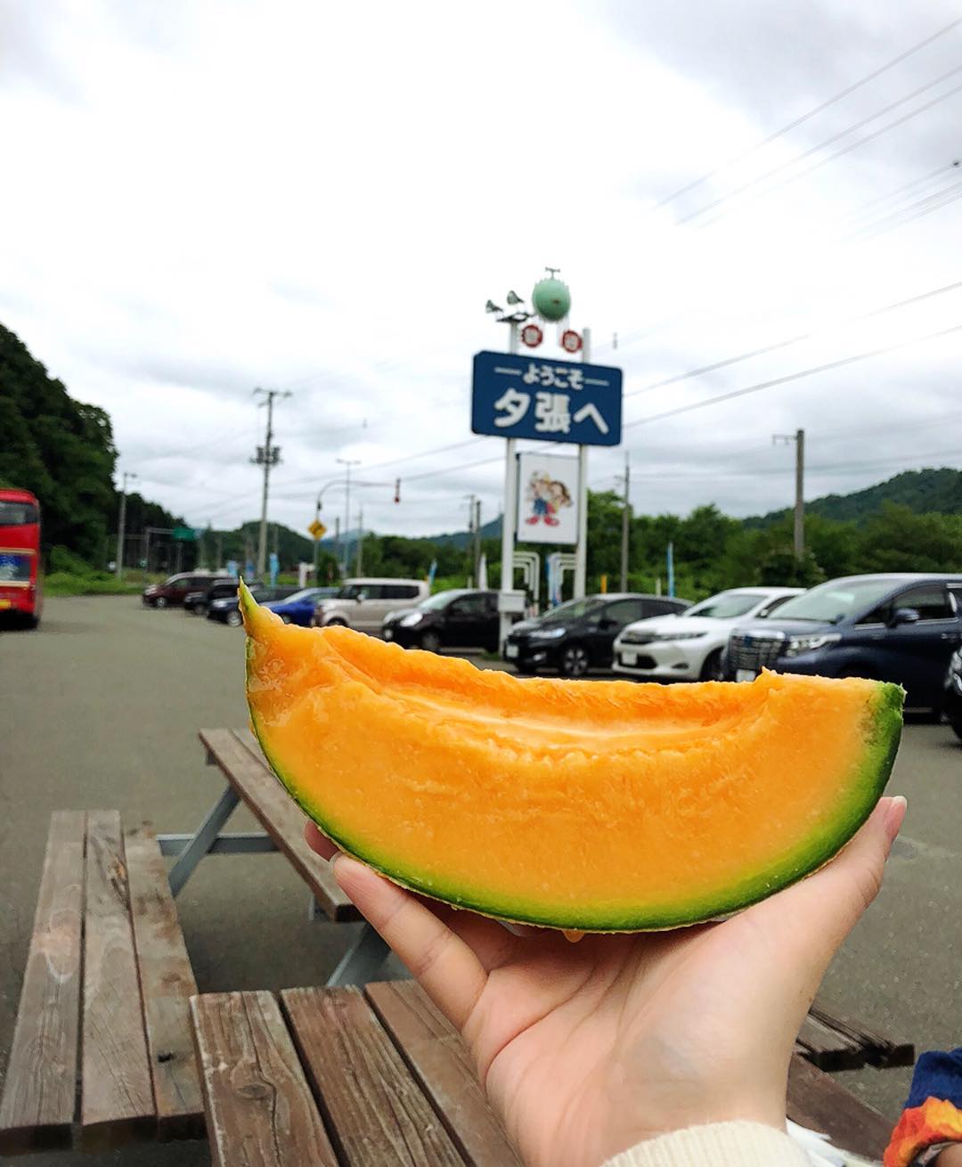 日本哈蜜瓜 日本蜜瓜 夕張蜜瓜 北海道夕張蜜瓜 北海道必買 北海道必食 網紋瓜 靜岡蜜瓜 日本水果 日本生果 日本水果季節 日本生果季節 日本水果月份 日本生果月份 日本時令水果 日本時令生果 日本當造水果 日本當造生果 日本必買 日本必食