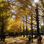 國營昭和紀念公園 |日本 Japan 日本必食 日本必吃 日本必到 日本必去 日本必買 日本必掃 日本自由行 日本行程 日本行程包 日本懶人包 日本好去處 日本景點 日本必到景點 日本必去景點 日本美食 日本交通 日本攻略 日本自由行行程 日本自由行行程推薦 日本酒店 日本飯店 日本酒店推薦 日本飯店推薦 日本必住酒店 日本必住飯店 日本必食2019 日本必吃2019 日本必到2019 日本必去2019 日本必買2019 日本必掃2019 日本自由行2019 日本行程2019 日本行程包2019 日本懶人包2019 日本好去處2019 日本景點2019 日本必到景點2019 日本必去景點2019 日本美食2019 日本交通2019 日本攻略2019 日本自由行行程2019 日本自由行行程推薦2019 日本酒店2019 日本飯店2019 日本酒店推薦2019 日本飯店推薦2019 日本必住酒店2019 日本必住飯店2019 東京 Tokyo 東京必食 東京必吃 東京必到 東京必去 東京必買 東京必掃 東京自由行 東京行程 東京行程包 東京懶人包 東京好去處 東京景點 東京必到景點 東京必去景點 東京美食 東京交通 東京攻略 東京自由行行程 東京自由行行程推薦 東京酒店 東京飯店 東京酒店推薦 東京飯店推薦 東京必住酒店 東京必住飯店 東京必食2019 東京必吃2019 東京必到2019 東京必去2019 東京必買2019 東京必掃2019 東京自由行2019 東京行程2019 東京行程包2019 東京懶人包2019 東京好去處2019 東京景點2019 東京必到景點2019 東京必去景點2019 東京美食2019 東京交通2019 東京攻略2019 東京自由行行程2019 東京自由行行程推薦2019 東京酒店2019 東京飯店2019 東京酒店推薦2019 東京飯店推薦2019 東京必住酒店2019 東京必住飯店2019 銀杏2019 日本銀杏 日本銀杏2019 東京銀杏 東京銀杏2019 楓葉2019 紅葉2019 日本楓葉2019 日本楓葉 日本紅葉 日本紅葉2019 東京楓葉2019 東京楓葉 東京紅葉 東京紅葉2019 國營昭和紀念公園 國營昭和紀念公園紅葉 國營昭和紀念公園楓葉 國營昭和紀念公園2019 國營昭和紀念公園紅葉2019 國營昭和紀念公園楓葉2019六義園 六義園紅葉 六義園楓葉 六義園2019 六義園紅葉2019 六義園楓葉2019 新宿御苑 新宿御苑紅葉 新宿御苑楓葉 新宿御苑2019 新宿御苑紅葉2019 新宿御苑楓葉2019 小石川後樂園 小石川後樂園紅葉 小石川後樂園楓葉 小石川後樂園2019 小石川後樂園紅葉2019 小石川後樂園楓葉2019 井之頭恩賜公園 井之頭恩賜公園紅葉 井之頭恩賜公園楓葉 井之頭恩賜公園2019 井之頭恩賜公園紅葉2019 井之頭恩賜公園楓葉2019 飛鳥山公園 飛鳥山公園紅葉 飛鳥山公園楓葉 飛鳥山公園2019 飛鳥山公園紅葉2019 飛鳥山公園楓葉2019 代代木公園 代代木公園紅葉 代代木公園楓葉 代代木公園2019 代代木公園紅葉2019 代代木公園楓葉2019 上野恩賜公園 上野恩賜公園紅葉 上野恩賜公園楓葉 上野恩賜公園2019 上野恩賜公園紅葉2019 上野恩賜公園楓葉2019 國營昭和紀念公園2019 國營昭和紀念公園銀杏2018 國營昭和紀念公園3月 國營昭和紀念公園10月 國營昭和紀念公園粉蝶花 昭和紀念公園櫻花2019 國營昭和紀念公園12月 昭和紀念公園櫻花2018 國營昭和紀念公園點燈 昭和紀念公園近期活動
