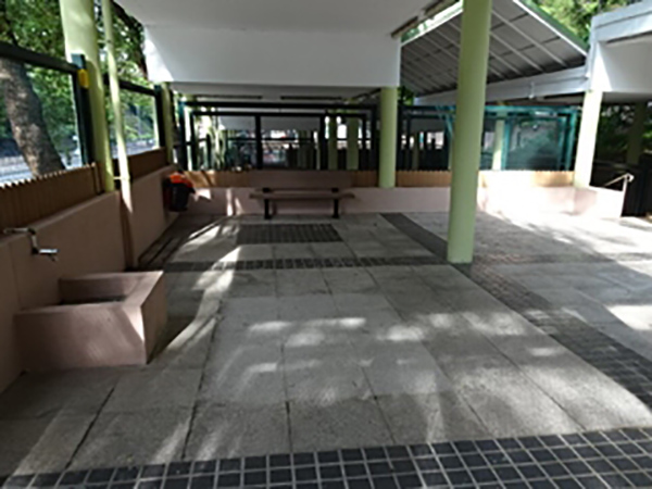 狗狗公園 狗狗公園 香港 狗狗好去處 狗狗好去處2020 香港草地狗公園
荃灣國瑞路公園