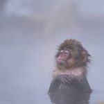 地獄谷|日本 Japan 日本必食 日本必吃 日本必到 日本必去 日本必買 日本必掃 日本自由行 日本行程 日本行程包 日本懶人包 日本好去處 日本景點 日本必到景點 日本必去景點 日本美食 日本交通 日本攻略 日本自由行行程 日本自由行行程推薦 日本酒店 日本飯店 日本酒店推薦 日本飯店推薦 日本必住酒店 日本必住飯店 日本必食2019 日本必吃2019 日本必到2019 日本必去2019 日本必買2019 日本必掃2019 日本自由行2019 日本行程2019 日本行程包2019 日本懶人包2019 日本好去處2019 日本景點2019 日本必到景點2019 日本必去景點2019 日本美食2019 日本交通2019 日本攻略2019 日本自由行行程2019 日本自由行行程推薦2019 日本酒店2019 日本飯店2019 日本酒店推薦2019 日本飯店推薦2019 日本必住酒店2019 日本必住飯店2019 北海道 Hokkaido 北海道必食 北海道必吃 北海道必到 北海道必去 北海道必買 北海道北海道必掃 北海道自由行 北海道行程 北海道行程包 北海道懶人包 北海道好去處 北海道景點 北海道必到景點 北海道必去景點 北海道美食 北海道交通 北海道攻略 北海道自由行行程 北海道自由行行程推薦 北海道酒店 北海道飯店 北海道酒店推薦 北海道飯店推薦 北海道必住酒店 北海道必住飯店 北海道必吃2019 北海道必到2019 北海道必去2019 北海道必買2019 北海道必掃2019 北海道自由行2019 北海道行程2019 北海道行程包2019 北海道懶人包2019 北海道好去處2019 北海道景點2019 北海道必到景點2019 北海道必去景點2019 北海道美食2019 北海道交通2019 北海道攻略2019 北海道自由行行程2019 北海道自由行行程推薦2019 北海道酒店2019 北海道飯店2019 北海道酒店推薦2019 北海道飯店推薦2019 北海道必住酒店2019 北海道必住飯店2019 函館機場 八幡坂 函館山 函館朝市 金森紅磚倉庫群 小丑漢堡 五稜郭 函館 登別 地獄谷 登別溫泉街 熊牧場 San Lavia滑雪場 札幌 小樽 田中酒造龜甲藏 小樽音樂盒本館 小樽堺町通り商店街 小樽運河 狸小路商店街 新千歲機場 大通公園 富田農場 富田哈密瓜工房 四季彩之丘 Flower Land Kamifurano 富良野 Furano Cheese Factory 地獄谷日本 登別地獄谷冬天 登別地獄谷夏天 登別地獄谷交通 登別地獄谷晚上 地獄谷鬼火之路 登別地獄谷mapcode 登別地獄谷住宿 地獄谷台南 登別火山地獄谷