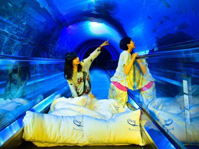 屏東景點 墾丁親子景點 墾丁水族館 國立海洋生物博物館 夜宿海生館