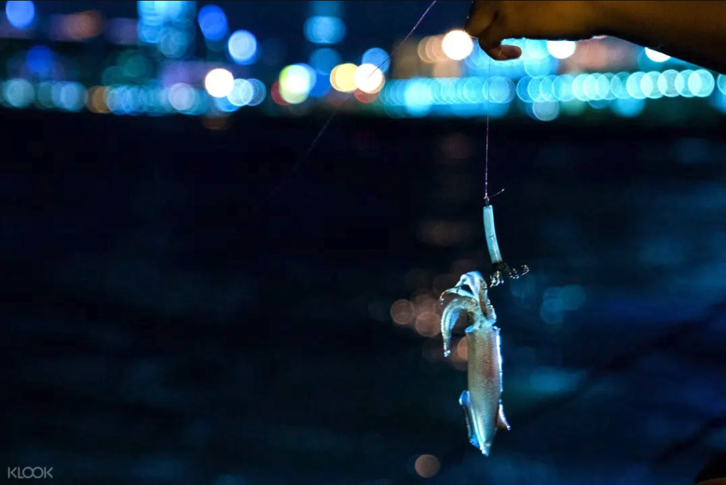 香港 夜釣墨魚 西貢 釣墨魚 chok墨魚 海釣墨魚 釣墨魚季節 船p 香港好去處 西貢好去處 水上活動 親子好去處 情侶好去處