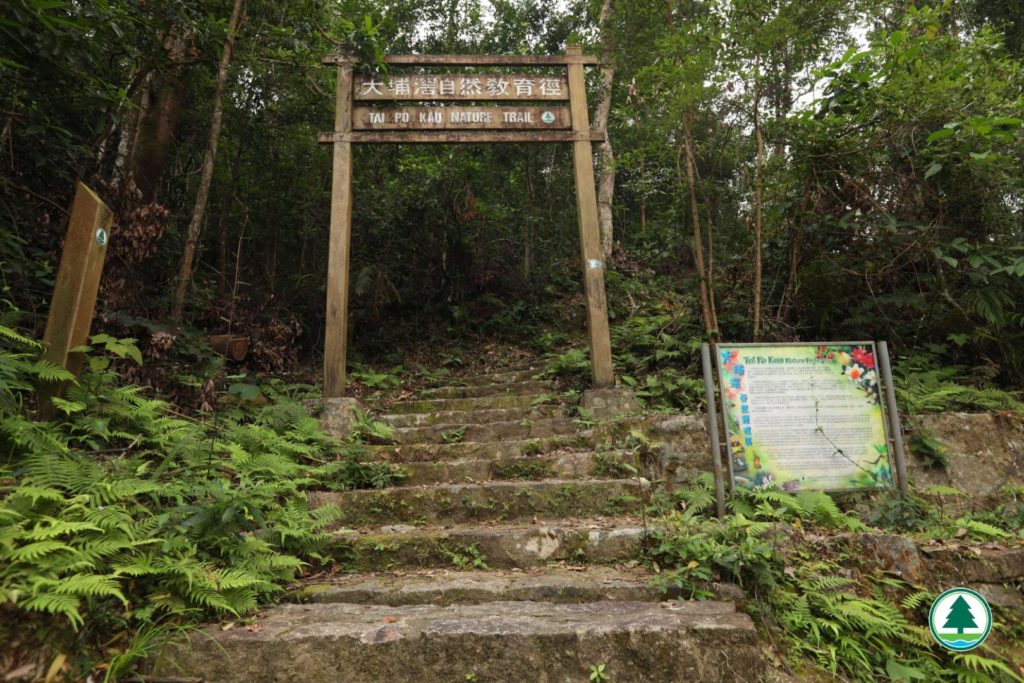 香港好去處 大埔滘松仔園四色林徑 大埔滘自然教育徑 香港行山 行山好去處 行山新手 新手行山路線 香港行山徑 大埔行山