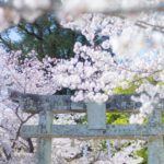 日本 Japan 日本必食 日本必吃 日本必到 日本必去 日本必買 日本必掃 日本自由行 日本行程 日本行程包 日本懶人包 日本好去處 日本景點 日本必到景點 日本美食 日本交通 日本攻略 日本自由行行程 日本自由行行程推薦 日本酒店 日本飯店 日本住宿 日本酒店推薦 日本飯店推薦 日本必住酒店 日本必住飯店 日本必食2019 日本必吃2019 日本必到2019 日本必去2019 日本必買2019 日本必掃2019 日本自由行2019 日本行程2019 日本行程包2019 日本懶人包2019 日本好去處2019 日本景點2019 日本必到景點2019 日本必去景點2019 日本美食2019 日本交通2019 日本攻略2019 日本自由行行程2019 日本自由行行程推薦2019 日本酒店2019 日本飯店2019 日本酒店推薦2019 日本飯店推薦2019 日本必住酒店2019 日本必住飯店2019 日本住宿2019 日本必食2020 日本必吃2020 日本必到2020 日本必去2020 日本必買2020 日本必掃2020 日本自由行2020 日本行程2020 日本行程包2020 日本懶人包2020 日本好去處2020 日本景點2020 日本必到景點2020 日本美食2020 日本交通2020 日本攻略2020 日本自由行行程2020 日本自由行行程推薦2020 日本酒店2020 日本飯店2020 日本住宿2020 日本酒店推薦2020 女飯店推薦2020 日本必住酒店2020 日本必住飯店2020 九州 Kyushu 九州必食 九州必吃 九州必到 九州必去 九州必買 九州必掃 九州自由行 行程 九州行程包 九州懶人包 九州好去處 九州景點 九州必到景點 九州美食 九州交通 九州攻略 九州自由行行程 九州自由行行程推薦 九州酒店 九州飯店 九州住宿 九州酒店推薦 九州飯店推薦 九州必住酒店 九州必住飯店 九州必食2019 九州必吃2019 九州必到2019 九州必去2019 九州必買2019 九州必掃2019 九州自由行2019 九州行程2019 九州行程包2019 九州懶人包2019 九州好去處2019 九州景點2019 九州必到景點2019 九州必去景點2019 九州美食2019 九州交通2019 九州攻略2019 九州自由行行程2019 九州自由行行程推薦2019 九州酒店2019 九州飯店2019 九州酒店推薦2019 九州飯店推薦2019 九州必住酒店2019 九州必住飯店2019 九州住宿2019 九州必食2020 九州必吃2020 九州必到2020 九州必去2020 九州必買2020 九州必掃2020 九州自由行2020 九州行程2020 九州行程包2020 九州懶人包2020 九州好去處2020 九州景點2020 九州必到景點2020 九州美食2020 九州交通2020 九州攻略2020 九州自由行行程2020 九州自由行行程推薦2020 九州酒店2020 九州飯店2020 九州住宿2020 九州酒店推薦2020 九州飯店推薦2020 九州必住酒店2020 九州必住飯店2020 大分 Oita 大分必食 大分必吃 大分必到 大分必去 大分必買 大分必掃 大分自由行 大分行程 大分行程包 大分懶人包 大分好去處 大分景點 大分必到景點 大分美食 大分交通 大分攻略 大分自由行行程 大分自由行行程推薦 大分酒店 大分飯店 大分住宿 大分酒店推薦 大分飯店推薦 大分必住酒店 大分必住飯店 大分必食2019 大分必吃2019 大分必到2019 大分必去2019 大分必買2019 大分必掃2019 大分自由行2019 大分行程2019 大分行程包2019 大分懶人包2019 大分好去處2019 大分景點2019 大分必到景點2019 大分必去景點2019大分 美食2019 大分交通2019 大分攻略2019 大分自由行行程2019 大分自由行行程推薦2019 大分酒店2019大分 飯店2019 大分酒店推薦2019 大分飯店推薦2019 大分必住酒店2019 大分必住飯店2019 大分住宿2019 大分必食2020 大分必吃2020 大分必到2020 大分必去2020 大分必買2020 大分必掃2020 大分自由行2020 大分行程2020 大分行程包2020 大分懶人包2020 大分好去處2020 大分景點2020 大分必到景點2020 大分美食2020 大分交通2020 大分攻略2020 大分自由行行程2020 大分自由行行程推薦2020 大分酒店2020 大分飯店2020 大分住宿2020 大分酒店推薦2020 大分飯店推薦2020 大分必住酒店2020 大分必住飯店2020 鹿兒島 Kagoshima 鹿兒島必食 鹿兒島必吃 鹿兒島必到 鹿兒島必去 鹿兒島必買 鹿兒島必掃 鹿兒島自由行 鹿兒島行程 鹿兒島行程包 鹿兒島懶人包 鹿兒島好去處 鹿兒島景點 鹿兒島必到景點 鹿兒島美食 鹿兒島交通 鹿兒島攻略 鹿兒島自由行行程鹿兒島 自由行行程推薦 鹿兒島酒店 鹿兒島飯店 鹿兒島住宿 鹿兒島酒店推薦 鹿兒島飯店推薦 鹿兒島必住酒店 鹿兒島必住飯店 鹿兒島必食2019 鹿兒島必吃2019 鹿兒島必到2019 鹿兒島必去2019 鹿兒島必買2019 鹿兒島必掃2019 鹿兒島自由行2019 鹿兒島行程2019 鹿兒島行程包2019 鹿兒島懶人包2019 鹿兒島好去處2019 鹿兒島景點2019 鹿兒島必到景點2019 鹿兒島必去景點2019 鹿兒島美食2019 鹿兒島交通2019 鹿兒島攻略2019 鹿兒島自由行行程2019 鹿兒島自由行行程推薦2019 鹿兒島酒店2019 鹿兒島飯店2019 鹿兒島酒店推薦2019 鹿兒島飯店推薦2019 鹿兒島必住酒店2019 鹿兒島必住飯店2019 鹿兒島住宿2019 鹿兒島必食2020 鹿兒島必吃2020 鹿兒島必到2020 鹿兒島必去2020 鹿兒島必買2020 鹿兒島必掃2020 鹿兒島自由行2020 鹿兒島行程2020 鹿兒島行程包2020 鹿兒島懶人包2020 鹿兒島好去處2020 鹿兒島景點2020 鹿兒島必到景點2020 鹿兒島美食2020 鹿兒島交通2020 鹿兒島攻略2020 鹿兒島自由行行程2020 鹿兒島自由行行程推薦2020 鹿兒島酒店2020鹿兒島飯店2020 鹿兒島住宿2020 鹿兒島酒店推薦2020 鹿兒島飯店推薦2020 鹿兒島必住酒店2020 鹿兒島必住飯店2020 長崎 Nagasaki 長崎必食長崎 必吃 長崎必到 長崎必去 長崎必買 長崎必掃 長崎自由行 長崎行程 長崎行程包 長崎懶人包 長崎好去處 長崎景點 長崎必到景點 長崎美食 長崎交通 長崎攻略 長崎自由行行程 長崎自由行行程推薦 長崎酒店 長崎飯店 長崎住宿 長崎酒店推薦 長崎飯店推薦 長崎必住酒店 長崎必住飯店 長崎必食2019 長崎必吃2019 長崎必到2019 長崎必去2019 長崎必買2019 長崎必掃2019 長崎自由行2019 長崎行程2019 長崎行程包2019 長崎懶人包2019 長崎好去處2019 長崎景點2019 長崎必到景點2019 長崎必去景點2019 長崎美食2019 長崎交通2019 長崎攻略2019 長崎自由行行程2019 長崎自由行行程推薦2019 長崎酒店2019 長崎飯店2019 長崎酒店推薦2019 長崎飯店推薦2019 長崎必住酒店2019 長崎必住飯店2019 長崎住宿2019 長崎必食2020 長崎必吃2020 長崎必到2020 長崎必去2020 長崎必買2020 長崎必掃2020 長崎自由行2020 長崎行程2020 長崎行程包2020 長崎懶人包2020 長崎好去處2020 長崎景點2020 長崎必到景點2020 長崎美食2020 長崎交通2020 長崎攻略2020 長崎自由行行程2020 長崎自由行行程推薦2020 長崎酒店2020 長崎飯店2020 長崎住宿2020 長崎酒店推薦2020 長崎飯店推薦2020 長崎必住酒店2020 長崎必住飯店2020 福岡 Hakata 福岡必食 福岡必吃 福岡必到 福岡必去 福岡必買 福岡必掃 福岡自由行 福岡行程 福岡行程包 福岡懶人包 福岡好去處 福岡景點 福岡必到景點 福岡美食 福岡交通 福岡攻略 福岡自由行行程 福岡自由行行程推薦 福岡酒店 福岡飯店 福岡住宿 福岡酒店推薦 福岡飯店推薦 福岡必住酒店 福岡必住飯店 福岡必食2019 福岡必吃2019 福岡必到2019 福岡必去2019 福岡必買2019 福岡必掃2019 福岡自由行2019 福岡行程2019 福岡行程包2019 福岡懶人包2019 福岡好去處2019 福岡景點2019 福岡必到景點2019 福岡必去景點2019 福岡美食2019 福岡交通2019 福岡攻略2019 福岡自由行行程2019 福岡自由行行程推薦2019 福岡酒店2019 福岡飯店2019 福岡酒店推薦2019 福岡飯店推薦2019 福岡必住酒店2019 福岡必住飯店2019 福岡住宿2019 福岡必食2020 福岡必吃2020 福岡必到2020 福岡必去2020 福岡必買2020 福岡必掃2020 福岡自由行2020 福岡行程2020 福岡行程包2020 福岡懶人包2020 福岡好去處2020 福岡景點2020 福岡必到景點2020 福岡美食2020 福岡交通2020 福岡攻略2020 福岡自由行行程2020 福岡自由行行程推薦2020 福岡酒店2020 福岡飯店2020 福岡住宿2020 福岡酒店推薦2020 福岡飯店推薦2020 福岡必住酒店2020 福岡必住飯店2020 熊本 Kumamoto 熊本必食 熊本必吃 熊本必到 熊本必去 熊本必買 熊本必掃 熊本自由行 熊本行程 熊本行程包 熊本懶人包 熊本好去處 熊本景點 熊本必到景點 熊本美食 熊本交通 熊本攻略 熊本自由行行程 熊本自由行行程推薦 熊本酒店 熊本飯店 熊本住宿 熊本酒店推薦 熊本飯店推薦 熊本必住酒店 熊本必住飯店 熊本必食2019 熊本必吃2019 熊本必到2019 熊本必去2019 熊本必買2019 熊本必掃2019 熊本自由行2019 熊本行程2019 熊本行程包2019 熊本懶人包2019 熊本好去處2019 熊本景點2019 熊本必到景點2019 熊本必去景點2019 熊本美食2019 熊本交通2019 熊本攻略2019 熊本自由行行程2019 熊本自由行行程推薦2019 熊本酒店2019 熊本飯店2019 熊本酒店推薦2019 熊本飯店推薦2019 熊本必住酒店2019 熊本必住飯店2019 住宿2019 熊本必食2020 熊本必吃2020 熊本必到2020 熊本必去2020 熊本必買2020 熊本必掃2020 熊本自由行2020 熊本行程2020 熊本行程包2020 熊本懶人包2020 熊本好去處2020 熊本景點2020 熊本必到景點2020 熊本美食2020 熊本交通2020 熊本攻略2020 熊本自由行行程2020 熊本自由行行程推薦2020 熊本酒店2020 熊本飯店2020 熊本住宿2020 熊本酒店推薦2020 熊本飯店推薦2020 熊本必住酒店2020 熊本必住飯店2020 佐賀 Saga 佐賀必食 佐賀必吃 佐賀必到 佐賀必去 佐賀必買 佐賀必掃 佐賀自由行 佐賀行程 佐賀行程包 佐賀懶人包 佐賀好去處 佐賀景點 佐賀必到景點 佐賀美食 佐賀交通 佐賀攻略 佐賀自由行行程 佐賀自由行行程推薦 佐賀酒店 佐賀飯店 佐賀住宿 佐賀酒店推薦 佐賀飯店推薦 佐賀必住酒店 佐賀必住飯店 佐賀必食2019 佐賀必吃2019 佐賀必到2019 佐賀必去2019 佐賀必買2019 佐賀必掃2019 佐賀自由行2019 佐賀行程2019 佐賀行程包2019 佐賀懶人包2019 佐賀好去處2019 佐賀景點2019 佐賀必到景點2019 佐賀必去景點2019 佐賀美食2019 佐賀交通2019 佐賀攻略2019 佐賀自由行行程2019 佐賀自由行行程推薦2019 佐賀酒店2019 佐賀飯店2019 佐賀酒店推薦2019 佐賀飯店推薦2019 佐賀必住酒店2019 佐賀必住飯店2019 佐賀住宿2019 佐賀必食2020 佐賀必吃2020 佐賀必到2020 佐賀必去2020 佐賀必買2020 佐賀必掃2020 佐賀自由行2020 佐賀行程2020 佐賀行程包2020 佐賀懶人包2020 佐賀好去處2020 佐賀景點2020 佐賀必到景點2020 佐賀美食2020 佐賀交通2020 佐賀攻略2020 佐賀自由行行程2020 佐賀自由行行程推薦2020 佐賀酒店2020 佐賀飯店2020 佐賀住宿2020 佐賀酒店推薦2020 佐賀飯店推薦2020 佐賀必住酒店2020 佐賀必住飯店2020 宮崎 Miyazaki 宮崎必食 宮崎必吃 宮崎必到 宮崎必去 宮崎必買 宮崎必掃 宮崎自由行 宮崎行程 宮崎行程包 宮崎懶人包 宮崎好去處 宮崎景點 宮崎必到景點 宮崎美食 宮崎交通 宮崎攻略 宮崎自由行行程 宮崎自由行行程推薦 宮崎酒店 宮崎飯店 宮崎住宿 宮崎酒店推薦 宮崎飯店推薦 宮崎必住酒店 宮崎必住飯店 宮崎必食2019 宮崎必吃2019 宮崎必到2019 宮崎必去2019 宮崎必買2019 宮崎必掃2019 宮崎自由行2019 宮崎行程2019 宮崎行程包2019 宮崎懶人包2019 宮崎好去處2019 宮崎景點2019 宮崎必到景點2019 宮崎必去景點2019 宮崎美食2019 宮崎交通2019 宮崎攻略2019 宮崎自由行行程2019 宮崎自由行行程推薦2019 宮崎酒店2019 宮崎飯店2019 宮崎酒店推薦2019 宮崎飯店推薦2019 宮崎必住酒店2019 宮崎必住飯店2019 宮崎住宿2019 宮崎必食2020 宮崎必吃2020 宮崎必到2020 宮崎必去2020 宮崎必買2020 宮崎必掃2020 宮崎自由行2020 宮崎行程2020 宮崎行程包2020 宮崎懶人包2020 宮崎好去處2020 宮崎景點2020 宮崎必到景點2020 宮崎美食2020 宮崎交通2020 宮崎攻略2020 宮崎自由行行程2020 宮崎自由行行程推薦2020 宮崎酒店2020 宮崎飯店2020 宮崎住宿2020 宮崎酒店推薦2020 宮崎飯店推薦2020 宮崎必住酒店2020 宮崎必住飯店2020 舞鶴公園 西公園 甘木公園 丸山公園 淺井的一本櫻 浅井の一本桜 秋月杉之馬場 秋月杉の馬場 小倉城勝山公園 勝山公園 一心行大櫻 一心行の大桜 水前寺成趣園 仙巖園 仙巌園 御船山樂園 御船山楽園 小城公園 母智丘公園 岡城跡 大村公園 日本櫻花 日本櫻花景點 日本賞櫻 日本櫻花攻略 日本賞櫻攻略 日本櫻花2020 日本櫻花景點2020 日本賞櫻2020 日本櫻花攻略2020 日本賞櫻攻略2020 福岡櫻花 福岡櫻花景點 福岡賞櫻 福岡櫻花攻略 福岡賞櫻攻略 福岡櫻花2020 福岡櫻花景點2020 福岡賞櫻2020 福岡櫻花攻略2020 福岡賞櫻攻略2020 熊本櫻花 熊本櫻花景點 熊本賞櫻 熊本櫻花攻略 熊本賞櫻攻略 熊本櫻花2020 熊本櫻花景點2020 熊本賞櫻2020 熊本櫻花攻略2020 熊本賞櫻攻略2020 鹿兒島櫻花 鹿兒島櫻花景點 鹿兒島賞櫻 鹿兒島櫻花攻略 鹿兒島賞櫻攻略 鹿兒島櫻花2020 鹿兒島櫻花景點2020 鹿兒島賞櫻2020 鹿兒島櫻花攻略2020 鹿兒島賞櫻攻略2020 佐賀櫻花 佐賀櫻花景點 佐賀賞櫻 佐賀櫻花攻略 佐賀賞櫻攻略 佐賀櫻花2020 佐賀櫻花景點2020 佐賀賞櫻2020 佐賀櫻花攻略2020 佐賀賞櫻攻略2020 宮崎櫻花 宮崎櫻花景點 宮崎賞櫻 宮崎櫻花攻略 宮崎賞櫻攻略 宮崎櫻花2020 宮崎櫻花景點2020 宮崎賞櫻2020 宮崎櫻花攻略2020 宮崎賞櫻攻略2020 大分櫻花 大分櫻花景點 大分賞櫻 大分櫻花攻略 大分賞櫻攻略 大分櫻花2020 大分櫻花景點2020 大分賞櫻2020 大分櫻花攻略2020 大分賞櫻攻略2020 長崎櫻花 長崎櫻花景點 長崎賞櫻 長崎櫻花攻略 長崎賞櫻攻略 長崎櫻花2020 長崎櫻花景點2020 長崎賞櫻2020 長崎櫻花攻略2020 長崎賞櫻攻略2020 舞鶴公園2019 舞鶴公園楓葉 舞鶴公園櫻花 舞鶴公園紅葉 舞鶴公園9月 舞鶴公園1月 舞鶴公園夜櫻 舞鶴公園交通 舞鶴公園12月 舞鶴公園英文 西公園櫻花2019 西公園仙台 西公園紅葉 福岡西公園櫻花 舞鶴公園 大濠公園 西公園交通 大濠公園美食 福岡城大濠公園 博多到大濠公園 甘木公園櫻花 甘木公園交通 舞鶴公園 福岡櫻花時間 舞鶴公園櫻花2019 福岡賞櫻時間 甘木觀光巴士 福岡櫻花2020 舞鶴公園夜櫻 福岡賞櫻2019 福岡櫻花時間 福岡櫻花2019 福岡櫻花祭 長崎櫻花2019 岡山櫻花2019 福岡絕景 櫻花季節 輕井澤櫻花 青森櫻花2019 日光櫻花2019 秋月日本 秋月城跡午餐 秋月城舊址 秋月城跡黑門 秋月城舊址交通 朝倉市美食 福岡秋月城跡賞楓 秋月城跡開放時間 秋月城跡楓葉 秋月城跡自駕 勝山公園紅葉 勝山公園楓葉 勝山公園櫻花 勝山公園停車場 小倉城 竉門神社 小倉城晚上 小倉城開放時間 福岡夜楓 一心行大櫻2019 白川水源 南阿蘇景點 白川水源2018 阿蘇景點2018 阿蘇地圖 熊本絕景 阿蘇山9月 阿蘇火山10月 草千里10月 水前寺成趣園紅葉 水前寺成趣園2019 水前寺成趣園必買 水前寺成趣園停留時間 水前寺成趣園冬天 水前寺成趣園停車 水前寺成趣園美食 水前寺成趣園抹茶 水前寺成趣園mapcode 水前寺成趣園楓葉 仙巖園停留時間 仙巖園和服 仙巖園紅葉 仙巖園星巴克 仙巖園貓神社 仙巖園世界遺產 仙巖園茶寮 仙巖園mapcode 仙巖園2018 仙巖園公車 御船山樂園2019 御船山樂園teamlab 御船山樂園值得去嗎 御船山樂園門票 御船山樂園櫻花 御船山樂園teamlab 2019 御船山樂園hotel 御船山樂園紅葉祭2019 佐賀御船山樂園teamlab 御船山樂園酒店blog 佐賀小城 小城景點 舞鶴公園 御船山樂園 佐賀小城景點 母智丘公園交通 岡城跡交通 岡城跡櫻花 岡城跡紅葉 大分縣岡城跡 岡城跡賞楓 岡城跡楓葉 岡城交通 岡城櫻花祭 豐後竹田車站 豐後景點 大村公園櫻花2019 大村公園2019 大村公園巴士 大村公園mapcode omura park大村公園 長崎大村公園櫻花2019 彰化大村公園 九州大村 大村公園玖島城跡 大村市景點