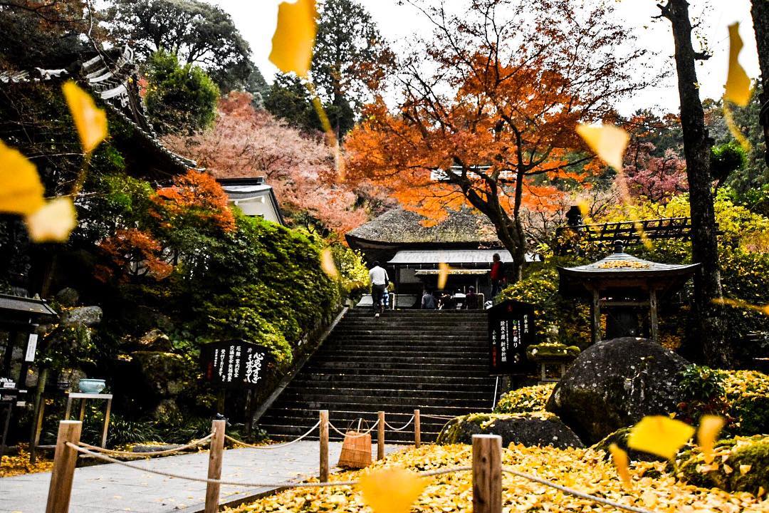 大興善寺 大興善寺紅葉 2019 大興善寺 紅葉 2019 大興善寺紅葉 2019 佐賀 紅葉 景點 2019 佐賀紅葉景點 2019 佐賀 紅葉景點 2019 佐賀紅葉 2019 佐賀紅葉2019 佐賀 紅葉 佐賀紅葉 2019 佐賀紅葉2019 佐賀賞楓 2019 佐賀賞楓2019 佐賀賞楓景點 2019 佐賀賞楓景點2019 佐賀夜楓 2019 佐賀夜楓2019 佐賀夜楓景點2019 佐賀夜楓景點 2019 九州紅葉 2019 九州紅葉2019 九州紅葉 景點 2019 九州紅葉景點 2019 九州紅葉景點2019 九州賞楓 2019 九州賞楓2019 九州賞楓景點 2019 九州賞楓景點2019 九州賞楓 景點 2019 九州夜楓2019 九州夜楓 2019 九州夜楓景點2019 九州夜楓景點 2019 九州夜楓 景點 2019 九州楓葉2019 九州楓葉 2019 九州楓葉景點2019 九州楓葉景點 2019 九州 紅葉祭 2019 九州景點 九州必去 九州必看 九州自由行 九州行程 九州自由行行程推薦 九州自由行行程推介 九州自由行行程