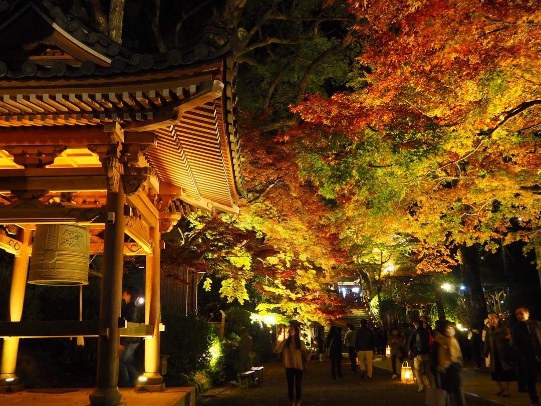 大興善寺 大興善寺紅葉 2019 大興善寺 紅葉 2019 大興善寺紅葉 2019 佐賀 紅葉 景點 2019 佐賀紅葉景點 2019 佐賀 紅葉景點 2019 佐賀紅葉 2019 佐賀紅葉2019 佐賀 紅葉 佐賀紅葉 2019 佐賀紅葉2019 佐賀賞楓 2019 佐賀賞楓2019 佐賀賞楓景點 2019 佐賀賞楓景點2019 佐賀夜楓 2019 佐賀夜楓2019 佐賀夜楓景點2019 佐賀夜楓景點 2019 九州紅葉 2019 九州紅葉2019 九州紅葉 景點 2019 九州紅葉景點 2019 九州紅葉景點2019 九州賞楓 2019 九州賞楓2019 九州賞楓景點 2019 九州賞楓景點2019 九州賞楓 景點 2019 九州夜楓2019 九州夜楓 2019 九州夜楓景點2019 九州夜楓景點 2019 九州夜楓 景點 2019 九州楓葉2019 九州楓葉 2019 九州楓葉景點2019 九州楓葉景點 2019 九州 紅葉祭 2019 九州景點 九州必去 九州必看 九州自由行 九州行程 九州自由行行程推薦 九州自由行行程推介 九州自由行行程