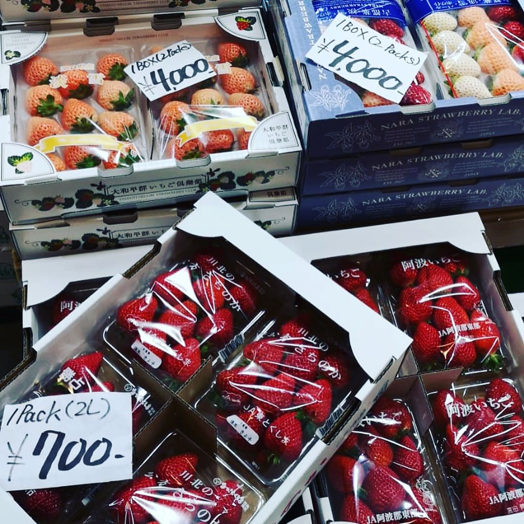大阪木津市場|大阪 Osaka おおさかし 大阪自由行 大阪美食 大阪必食 大阪行程 大阪市場 大阪魚市場 大阪海鮮市場 大阪木津市場 木津市場 木津卸売市場 業務超市 業務スーパー 日本水果 木津市場早餐 木津市場2018 木津市場休息日2019 木津市場oda 木津市場超市 木津市場日文 木津市場營業時間2018 木津市場地鐵 木津市場乾貨 木津市場休息日2019