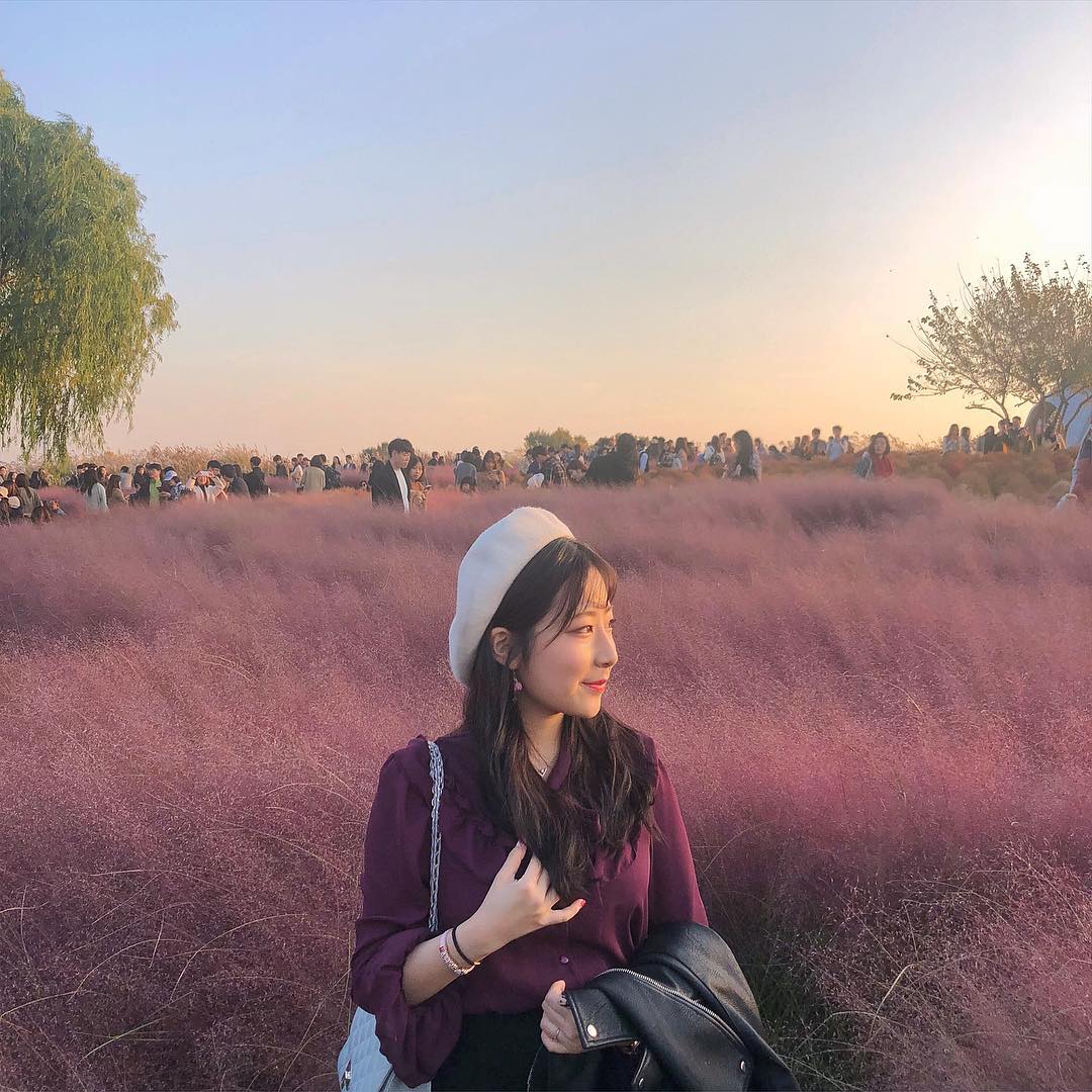 七彩芒草 하늘공원 天空公園 首爾紫芒節 서울억새축제 天空公園 粉紅亂子草 天空公園粉紅亂子草 天空公園粉紅芒草 天空公園 粉紅芒草 天空公園粉黛亂子草 天空公園 粉黛亂子草 濟州島 粉黛亂子草 景點 濟州島 粉紅亂子草 景點 濟州島 粉紅芒草 景點 濟州粉黛亂子草 濟州 粉黛亂子草 景點 濟州 粉紅亂子草 景點 濟州 粉紅芒草 景點 濟州 秋天 賞花 景點 濟州島 秋天 賞花 景點 濟州秋天賞花 濟州島秋天賞花 濟州賞花 濟州島賞花 濟州 濟州島 Jeju 濟州島好去處2019 濟州島景點2019 濟州島必到景點2019 濟州島必去景點2019 濟州島必到2019 濟州島必去2019 濟州島必到 濟州島必去 濟州島好去處 濟州島景點 濟州島必到景點 濟州島必去景點 濟州好去處2019 濟州景點2019 濟州必到景點2019 濟州必去景點2019 濟州必到 濟州必去 濟州必到2019 濟州必去2019 濟州好去處 濟州景點 濟州必到景點 濟州必去景點 釜山好去處2019 釜山景點2019 釜山必到景點2019 釜山必去景點2019 釜山景點 釜山必到景點 釜山必去景點 釜山 粉紅亂子草 景點 釜山 粉紅芒草 景點 釜山 粉黛亂子草 景點 釜山 Busan 釜山打卡 釜山打卡必去 釜山賞花 釜山秋天 釜山 秋天 賞花 釜山粉黛亂子草 韓國打卡 韓國打卡必去 首爾打卡 首爾打卡必去 粉黛亂子草景點 韓國 粉黛亂子草 景點 韓國 粉紅芒草 景點 韓國 粉紅亂子草 景點 首爾 粉紅亂子草 首爾 粉紅芒草 景點 首爾粉紅芒草 首爾粉黛亂子草 首爾 粉黛亂子草 景點 首爾 首爾賞花 首爾 秋天 賞花 首爾秋天 首爾 Seoul 首爾必到 首爾好去處2019 首爾景點2019 首爾必到景點2019 首爾必去景點2019 首爾必到2019 首爾必去2019 首爾必去 首爾好去處 首爾景點 首爾必到景點 首爾必去景點 韓國 Korea 韓國必到 韓國必去 韓國自由行 韓國好去處 韓國景點 韓國必到景點 韓國必去景點 韓國必到2019 韓國必去2019 韓國好去處2019 韓國景點2019 韓國必到景點2019 韓國必去景點2019 韓國賞花 韓國 秋天 賞花 韓國秋天