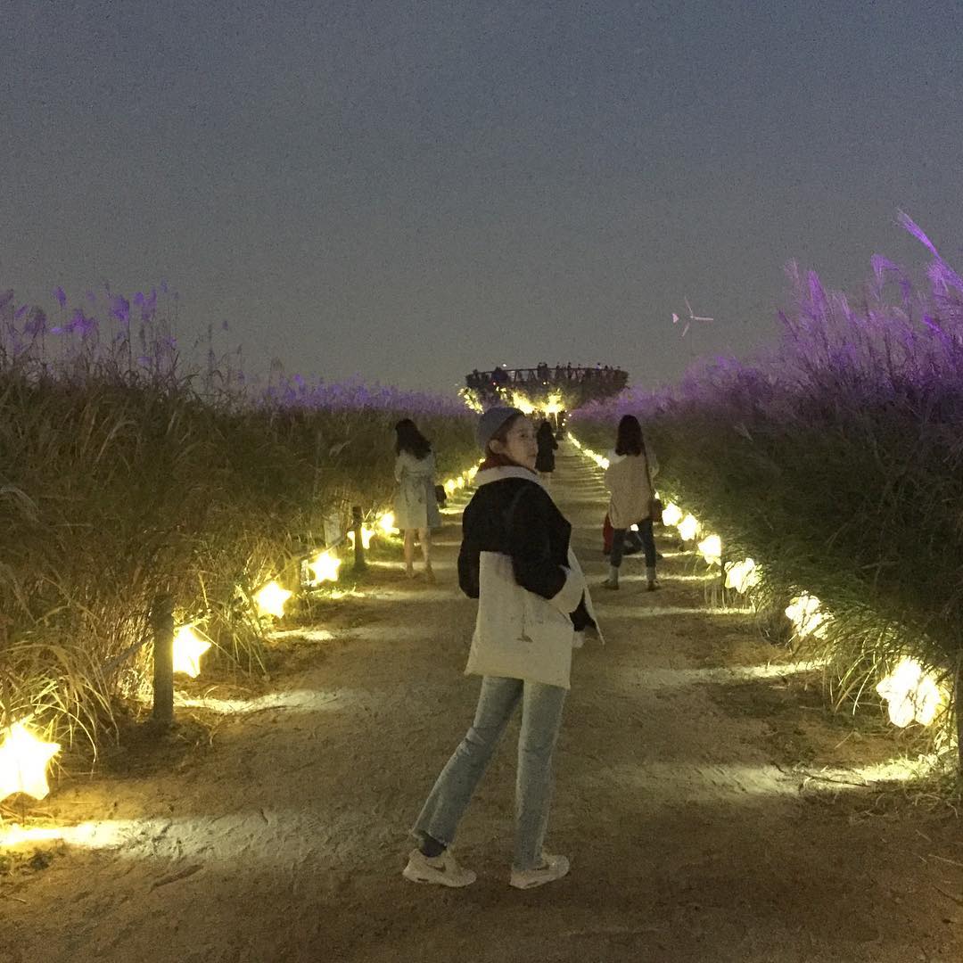 七彩芒草 하늘공원 天空公園 首爾紫芒節 서울억새축제 天空公園 粉紅亂子草 天空公園粉紅亂子草 天空公園粉紅芒草 天空公園 粉紅芒草 天空公園粉黛亂子草 天空公園 粉黛亂子草 濟州島 粉黛亂子草 景點 濟州島 粉紅亂子草 景點 濟州島 粉紅芒草 景點 濟州粉黛亂子草 濟州 粉黛亂子草 景點 濟州 粉紅亂子草 景點 濟州 粉紅芒草 景點 濟州 秋天 賞花 景點 濟州島 秋天 賞花 景點 濟州秋天賞花 濟州島秋天賞花 濟州賞花 濟州島賞花 濟州 濟州島 Jeju 濟州島好去處2019 濟州島景點2019 濟州島必到景點2019 濟州島必去景點2019 濟州島必到2019 濟州島必去2019 濟州島必到 濟州島必去 濟州島好去處 濟州島景點 濟州島必到景點 濟州島必去景點 濟州好去處2019 濟州景點2019 濟州必到景點2019 濟州必去景點2019 濟州必到 濟州必去 濟州必到2019 濟州必去2019 濟州好去處 濟州景點 濟州必到景點 濟州必去景點 釜山好去處2019 釜山景點2019 釜山必到景點2019 釜山必去景點2019 釜山景點 釜山必到景點 釜山必去景點 釜山 粉紅亂子草 景點 釜山 粉紅芒草 景點 釜山 粉黛亂子草 景點 釜山 Busan 釜山打卡 釜山打卡必去 釜山賞花 釜山秋天 釜山 秋天 賞花 釜山粉黛亂子草 韓國打卡 韓國打卡必去 首爾打卡 首爾打卡必去 粉黛亂子草景點 韓國 粉黛亂子草 景點 韓國 粉紅芒草 景點 韓國 粉紅亂子草 景點 首爾 粉紅亂子草 首爾 粉紅芒草 景點 首爾粉紅芒草 首爾粉黛亂子草 首爾 粉黛亂子草 景點 首爾 首爾賞花 首爾 秋天 賞花 首爾秋天 首爾 Seoul 首爾必到 首爾好去處2019 首爾景點2019 首爾必到景點2019 首爾必去景點2019 首爾必到2019 首爾必去2019 首爾必去 首爾好去處 首爾景點 首爾必到景點 首爾必去景點 韓國 Korea 韓國必到 韓國必去 韓國自由行 韓國好去處 韓國景點 韓國必到景點 韓國必去景點 韓國必到2019 韓國必去2019 韓國好去處2019 韓國景點2019 韓國必到景點2019 韓國必去景點2019 韓國賞花 韓國 秋天 賞花 韓國秋天