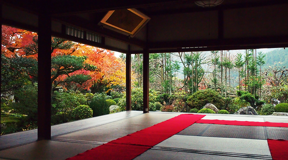 京都大原景點 大原實光院（Jikko-In）契心園