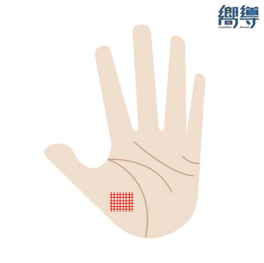 手相 掌紋 事業線 生命線 感情線 婚姻線 手掌紋 掌紋分析 掌相 黃大仙廟 車公廟 Klook