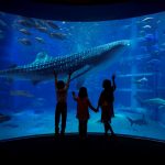 大阪親子遊必去水族館：大阪海遊館（Osaka Aquarium KAIYUKAN）