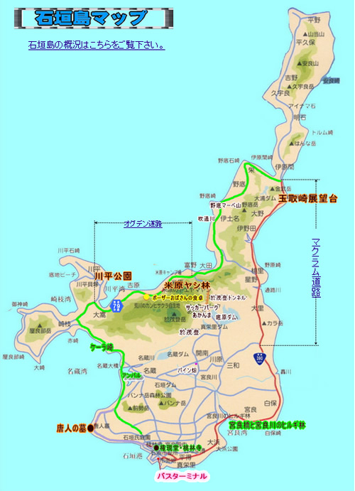 石垣島巴士 定期觀光巴士一