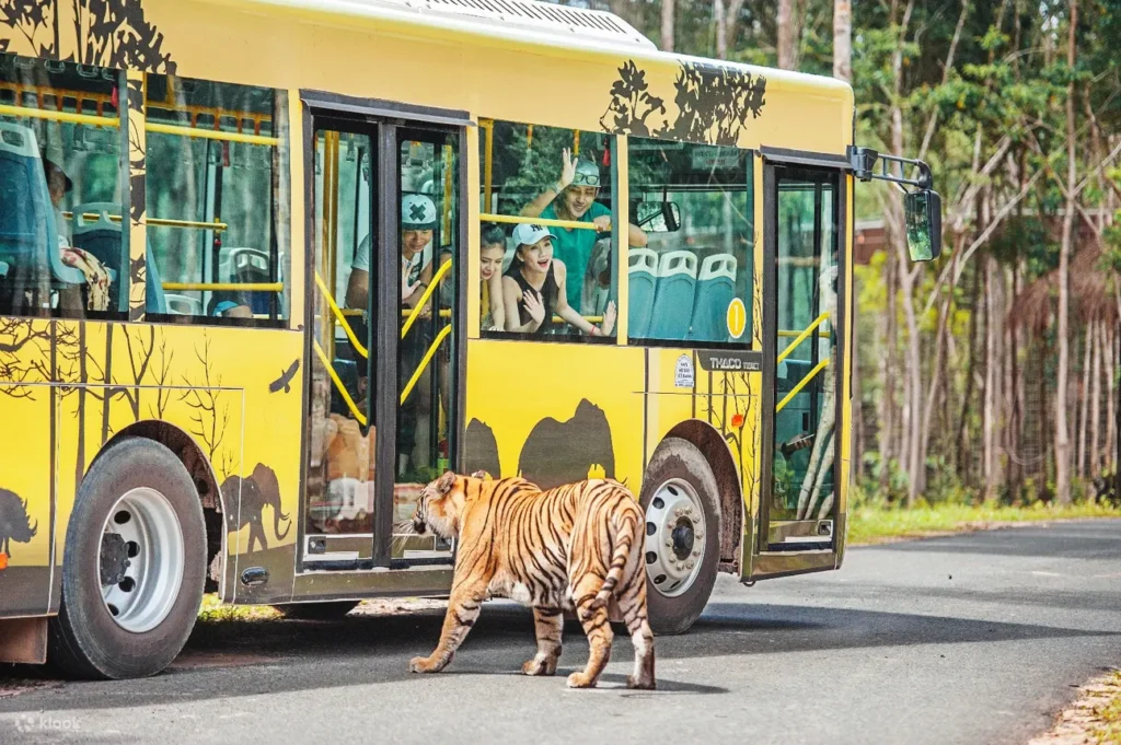 富國島珍珠野生動物園提供開放式遊園車體驗,遊客可近距離觀賞獅子、長頸鹿及斑馬等動物,並參加餵食活動,親手餵食長頸鹿和大象,感受與動物互動的樂趣。