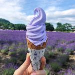 富田農場|日本 Japan 日本必食 日本必吃 日本必到 日本必去 日本必買 日本必掃 日本自由行 日本行程 日本行程包 日本懶人包 日本好去處 日本景點 日本必到景點 日本必去景點 日本美食 日本交通 日本攻略 日本自由行行程 日本自由行行程推薦 日本酒店 日本飯店 日本酒店推薦 日本飯店推薦 日本必住酒店 日本必住飯店 日本必食2019 日本必吃2019 日本必到2019 日本必去2019 日本必買2019 日本必掃2019 日本自由行2019 日本行程2019 日本行程包2019 日本懶人包2019 日本好去處2019 日本景點2019 日本必到景點2019 日本必去景點2019 日本美食2019 日本交通2019 日本攻略2019 日本自由行行程2019 日本自由行行程推薦2019 日本酒店2019 日本飯店2019 日本酒店推薦2019 日本飯店推薦2019 日本必住酒店2019 日本必住飯店2019 北海道 Hokkaido 北海道必食 北海道必吃 北海道必到 北海道必去 北海道必買 北海道北海道必掃 北海道自由行 北海道行程 北海道行程包 北海道懶人包 北海道好去處 北海道景點 北海道必到景點 北海道必去景點 北海道美食 北海道交通 北海道攻略 北海道自由行行程 北海道自由行行程推薦 北海道酒店 北海道飯店 北海道酒店推薦 北海道飯店推薦 北海道必住酒店 北海道必住飯店 北海道必吃2019 北海道必到2019 北海道必去2019 北海道必買2019 北海道必掃2019 北海道自由行2019 北海道行程2019 北海道行程包2019 北海道懶人包2019 北海道好去處2019 北海道景點2019 北海道必到景點2019 北海道必去景點2019 北海道美食2019 北海道交通2019 北海道攻略2019 北海道自由行行程2019 北海道自由行行程推薦2019 北海道酒店2019 北海道飯店2019 北海道酒店推薦2019 北海道飯店推薦2019 北海道必住酒店2019 北海道必住飯店2019 函館機場 八幡坂 函館山 函館朝市 金森紅磚倉庫群 小丑漢堡 五稜郭 函館 登別 地獄谷 登別溫泉街 熊牧場 San Lavia滑雪場 札幌 小樽 田中酒造龜甲藏 小樽音樂盒本館 小樽堺町通り商店街 小樽運河 狸小路商店街 新千歲機場 大通公園 富田農場 富田哈密瓜工房 四季彩之丘 Flower Land Kamifurano 富良野 Furano Cheese Factory 富田農場6月 富田農場5月 富田農場9月 富田農場介紹 富田農場2019 富田農場冬天 富田農場6月初 富田農場7月 北海道富田農場2019 富田農場停車場