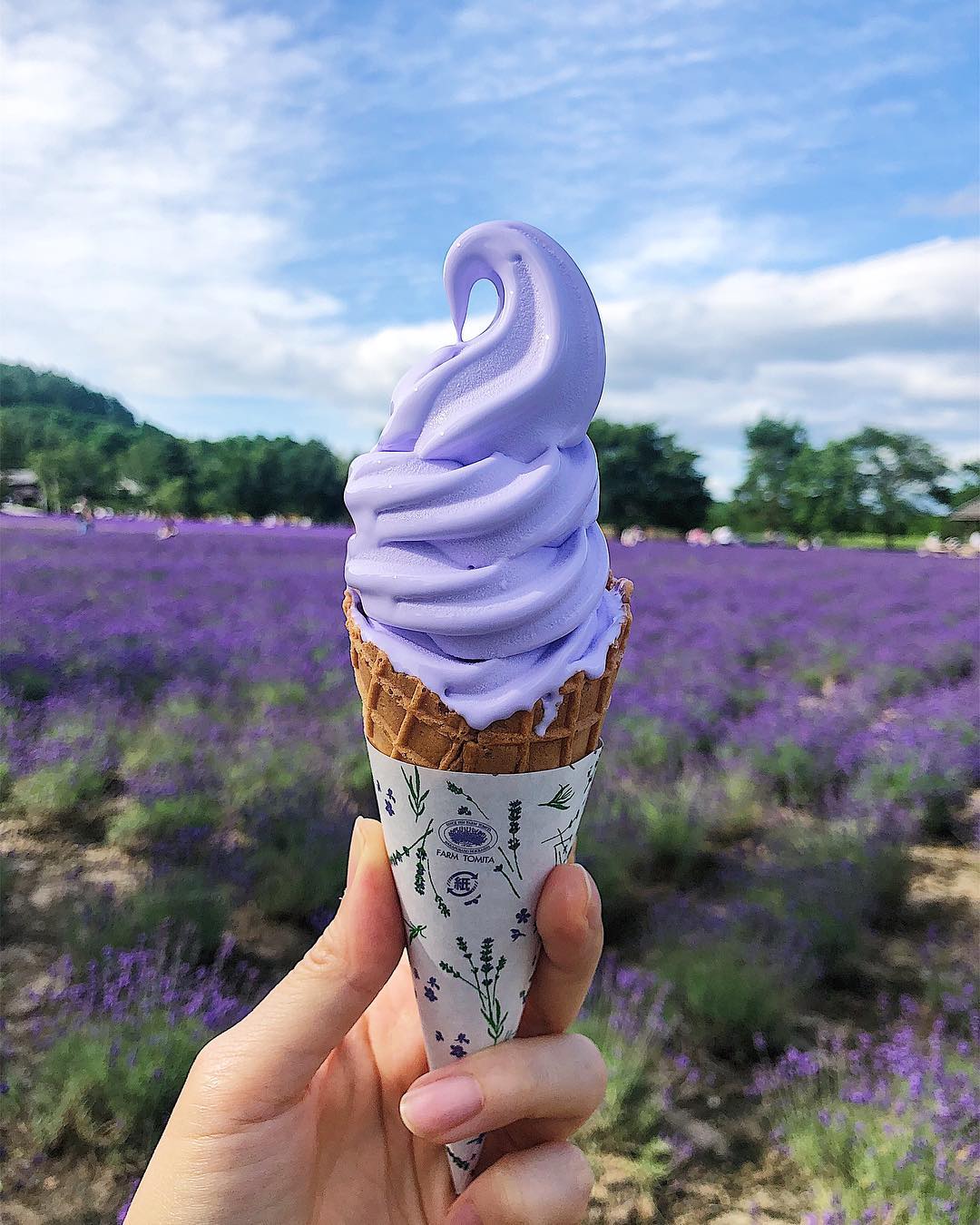 富田農場 Farm Tomita ファーム富田 薰衣草雪糕 薰衣草白朱古力雪糕 薰衣草白巧克力冰淇淋 薰衣草冰淇淋 北海道薰衣草 薰衣草 薰衣草花田 薰衣草花海 北海道必去 北海道景點 北海道賞花 北海道賞花景點
