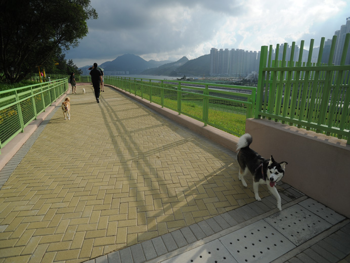 狗狗公園 狗狗公園 香港 狗狗好去處 狗狗好去處2020 香港草地狗公園
將軍澳環保大道
