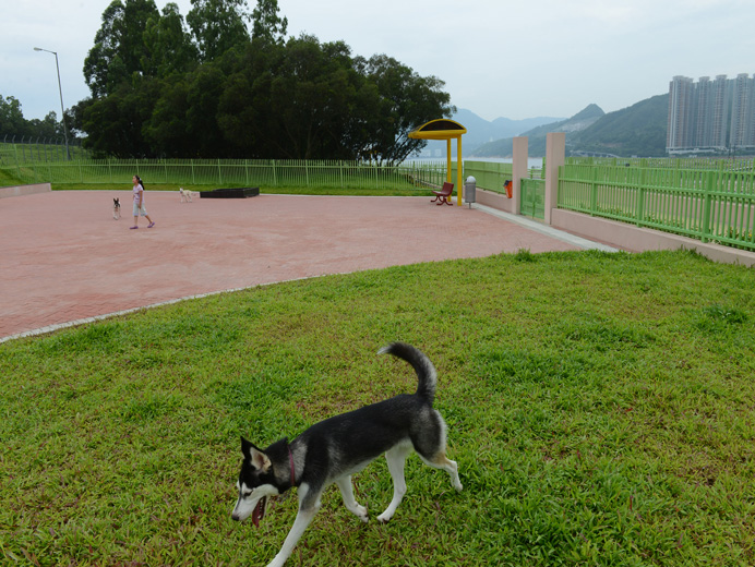 狗狗公園 狗狗公園 香港 狗狗好去處 狗狗好去處2020 香港草地狗公園
將軍澳環保大道