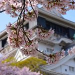 日本 Japan 日本必食 日本必吃 日本必到 日本必去 日本必買 日本必掃 日本自由行 日本行程 日本行程包 日本懶人包 日本好去處 日本景點 日本必到景點 日本美食 日本交通 日本攻略 日本自由行行程 日本自由行行程推薦 日本酒店 日本飯店 日本住宿 日本酒店推薦 日本飯店推薦 日本必住酒店 日本必住飯店 日本必食2019 日本必吃2019 日本必到2019 日本必去2019 日本必買2019 日本必掃2019 日本自由行2019 日本行程2019 日本行程包2019 日本懶人包2019 日本好去處2019 日本景點2019 日本必到景點2019 日本必去景點2019 日本美食2019 日本交通2019 日本攻略2019 日本自由行行程2019 日本自由行行程推薦2019 日本酒店2019 日本飯店2019 日本酒店推薦2019 日本飯店推薦2019 日本必住酒店2019 日本必住飯店2019 日本住宿2019 日本必食2020 日本必吃2020 日本必到2020 日本必去2020 日本必買2020 日本必掃2020 日本自由行2020 日本行程2020 日本行程包2020 日本懶人包2020 日本好去處2020 日本景點2020 日本必到景點2020 日本美食2020 日本交通2020 日本攻略2020 日本自由行行程2020 日本自由行行程推薦2020 日本酒店2020 日本飯店2020 日本住宿2020 日本酒店推薦2020 女飯店推薦2020 日本必住酒店2020 日本必住飯店2020 九州 Kyushu 九州必食 九州必吃 九州必到 九州必去 九州必買 九州必掃 九州自由行 行程 九州行程包 九州懶人包 九州好去處 九州景點 九州必到景點 九州美食 九州交通 九州攻略 九州自由行行程 九州自由行行程推薦 九州酒店 九州飯店 九州住宿 九州酒店推薦 九州飯店推薦 九州必住酒店 九州必住飯店 九州必食2019 九州必吃2019 九州必到2019 九州必去2019 九州必買2019 九州必掃2019 九州自由行2019 九州行程2019 九州行程包2019 九州懶人包2019 九州好去處2019 九州景點2019 九州必到景點2019 九州必去景點2019 九州美食2019 九州交通2019 九州攻略2019 九州自由行行程2019 九州自由行行程推薦2019 九州酒店2019 九州飯店2019 九州酒店推薦2019 九州飯店推薦2019 九州必住酒店2019 九州必住飯店2019 九州住宿2019 九州必食2020 九州必吃2020 九州必到2020 九州必去2020 九州必買2020 九州必掃2020 九州自由行2020 九州行程2020 九州行程包2020 九州懶人包2020 九州好去處2020 九州景點2020 九州必到景點2020 九州美食2020 九州交通2020 九州攻略2020 九州自由行行程2020 九州自由行行程推薦2020 九州酒店2020 九州飯店2020 九州住宿2020 九州酒店推薦2020 九州飯店推薦2020 九州必住酒店2020 九州必住飯店2020 大分 Oita 大分必食 大分必吃 大分必到 大分必去 大分必買 大分必掃 大分自由行 大分行程 大分行程包 大分懶人包 大分好去處 大分景點 大分必到景點 大分美食 大分交通 大分攻略 大分自由行行程 大分自由行行程推薦 大分酒店 大分飯店 大分住宿 大分酒店推薦 大分飯店推薦 大分必住酒店 大分必住飯店 大分必食2019 大分必吃2019 大分必到2019 大分必去2019 大分必買2019 大分必掃2019 大分自由行2019 大分行程2019 大分行程包2019 大分懶人包2019 大分好去處2019 大分景點2019 大分必到景點2019 大分必去景點2019大分 美食2019 大分交通2019 大分攻略2019 大分自由行行程2019 大分自由行行程推薦2019 大分酒店2019大分 飯店2019 大分酒店推薦2019 大分飯店推薦2019 大分必住酒店2019 大分必住飯店2019 大分住宿2019 大分必食2020 大分必吃2020 大分必到2020 大分必去2020 大分必買2020 大分必掃2020 大分自由行2020 大分行程2020 大分行程包2020 大分懶人包2020 大分好去處2020 大分景點2020 大分必到景點2020 大分美食2020 大分交通2020 大分攻略2020 大分自由行行程2020 大分自由行行程推薦2020 大分酒店2020 大分飯店2020 大分住宿2020 大分酒店推薦2020 大分飯店推薦2020 大分必住酒店2020 大分必住飯店2020 鹿兒島 Kagoshima 鹿兒島必食 鹿兒島必吃 鹿兒島必到 鹿兒島必去 鹿兒島必買 鹿兒島必掃 鹿兒島自由行 鹿兒島行程 鹿兒島行程包 鹿兒島懶人包 鹿兒島好去處 鹿兒島景點 鹿兒島必到景點 鹿兒島美食 鹿兒島交通 鹿兒島攻略 鹿兒島自由行行程鹿兒島 自由行行程推薦 鹿兒島酒店 鹿兒島飯店 鹿兒島住宿 鹿兒島酒店推薦 鹿兒島飯店推薦 鹿兒島必住酒店 鹿兒島必住飯店 鹿兒島必食2019 鹿兒島必吃2019 鹿兒島必到2019 鹿兒島必去2019 鹿兒島必買2019 鹿兒島必掃2019 鹿兒島自由行2019 鹿兒島行程2019 鹿兒島行程包2019 鹿兒島懶人包2019 鹿兒島好去處2019 鹿兒島景點2019 鹿兒島必到景點2019 鹿兒島必去景點2019 鹿兒島美食2019 鹿兒島交通2019 鹿兒島攻略2019 鹿兒島自由行行程2019 鹿兒島自由行行程推薦2019 鹿兒島酒店2019 鹿兒島飯店2019 鹿兒島酒店推薦2019 鹿兒島飯店推薦2019 鹿兒島必住酒店2019 鹿兒島必住飯店2019 鹿兒島住宿2019 鹿兒島必食2020 鹿兒島必吃2020 鹿兒島必到2020 鹿兒島必去2020 鹿兒島必買2020 鹿兒島必掃2020 鹿兒島自由行2020 鹿兒島行程2020 鹿兒島行程包2020 鹿兒島懶人包2020 鹿兒島好去處2020 鹿兒島景點2020 鹿兒島必到景點2020 鹿兒島美食2020 鹿兒島交通2020 鹿兒島攻略2020 鹿兒島自由行行程2020 鹿兒島自由行行程推薦2020 鹿兒島酒店2020鹿兒島飯店2020 鹿兒島住宿2020 鹿兒島酒店推薦2020 鹿兒島飯店推薦2020 鹿兒島必住酒店2020 鹿兒島必住飯店2020 長崎 Nagasaki 長崎必食長崎 必吃 長崎必到 長崎必去 長崎必買 長崎必掃 長崎自由行 長崎行程 長崎行程包 長崎懶人包 長崎好去處 長崎景點 長崎必到景點 長崎美食 長崎交通 長崎攻略 長崎自由行行程 長崎自由行行程推薦 長崎酒店 長崎飯店 長崎住宿 長崎酒店推薦 長崎飯店推薦 長崎必住酒店 長崎必住飯店 長崎必食2019 長崎必吃2019 長崎必到2019 長崎必去2019 長崎必買2019 長崎必掃2019 長崎自由行2019 長崎行程2019 長崎行程包2019 長崎懶人包2019 長崎好去處2019 長崎景點2019 長崎必到景點2019 長崎必去景點2019 長崎美食2019 長崎交通2019 長崎攻略2019 長崎自由行行程2019 長崎自由行行程推薦2019 長崎酒店2019 長崎飯店2019 長崎酒店推薦2019 長崎飯店推薦2019 長崎必住酒店2019 長崎必住飯店2019 長崎住宿2019 長崎必食2020 長崎必吃2020 長崎必到2020 長崎必去2020 長崎必買2020 長崎必掃2020 長崎自由行2020 長崎行程2020 長崎行程包2020 長崎懶人包2020 長崎好去處2020 長崎景點2020 長崎必到景點2020 長崎美食2020 長崎交通2020 長崎攻略2020 長崎自由行行程2020 長崎自由行行程推薦2020 長崎酒店2020 長崎飯店2020 長崎住宿2020 長崎酒店推薦2020 長崎飯店推薦2020 長崎必住酒店2020 長崎必住飯店2020 福岡 Hakata 福岡必食 福岡必吃 福岡必到 福岡必去 福岡必買 福岡必掃 福岡自由行 福岡行程 福岡行程包 福岡懶人包 福岡好去處 福岡景點 福岡必到景點 福岡美食 福岡交通 福岡攻略 福岡自由行行程 福岡自由行行程推薦 福岡酒店 福岡飯店 福岡住宿 福岡酒店推薦 福岡飯店推薦 福岡必住酒店 福岡必住飯店 福岡必食2019 福岡必吃2019 福岡必到2019 福岡必去2019 福岡必買2019 福岡必掃2019 福岡自由行2019 福岡行程2019 福岡行程包2019 福岡懶人包2019 福岡好去處2019 福岡景點2019 福岡必到景點2019 福岡必去景點2019 福岡美食2019 福岡交通2019 福岡攻略2019 福岡自由行行程2019 福岡自由行行程推薦2019 福岡酒店2019 福岡飯店2019 福岡酒店推薦2019 福岡飯店推薦2019 福岡必住酒店2019 福岡必住飯店2019 福岡住宿2019 福岡必食2020 福岡必吃2020 福岡必到2020 福岡必去2020 福岡必買2020 福岡必掃2020 福岡自由行2020 福岡行程2020 福岡行程包2020 福岡懶人包2020 福岡好去處2020 福岡景點2020 福岡必到景點2020 福岡美食2020 福岡交通2020 福岡攻略2020 福岡自由行行程2020 福岡自由行行程推薦2020 福岡酒店2020 福岡飯店2020 福岡住宿2020 福岡酒店推薦2020 福岡飯店推薦2020 福岡必住酒店2020 福岡必住飯店2020 熊本 Kumamoto 熊本必食 熊本必吃 熊本必到 熊本必去 熊本必買 熊本必掃 熊本自由行 熊本行程 熊本行程包 熊本懶人包 熊本好去處 熊本景點 熊本必到景點 熊本美食 熊本交通 熊本攻略 熊本自由行行程 熊本自由行行程推薦 熊本酒店 熊本飯店 熊本住宿 熊本酒店推薦 熊本飯店推薦 熊本必住酒店 熊本必住飯店 熊本必食2019 熊本必吃2019 熊本必到2019 熊本必去2019 熊本必買2019 熊本必掃2019 熊本自由行2019 熊本行程2019 熊本行程包2019 熊本懶人包2019 熊本好去處2019 熊本景點2019 熊本必到景點2019 熊本必去景點2019 熊本美食2019 熊本交通2019 熊本攻略2019 熊本自由行行程2019 熊本自由行行程推薦2019 熊本酒店2019 熊本飯店2019 熊本酒店推薦2019 熊本飯店推薦2019 熊本必住酒店2019 熊本必住飯店2019 住宿2019 熊本必食2020 熊本必吃2020 熊本必到2020 熊本必去2020 熊本必買2020 熊本必掃2020 熊本自由行2020 熊本行程2020 熊本行程包2020 熊本懶人包2020 熊本好去處2020 熊本景點2020 熊本必到景點2020 熊本美食2020 熊本交通2020 熊本攻略2020 熊本自由行行程2020 熊本自由行行程推薦2020 熊本酒店2020 熊本飯店2020 熊本住宿2020 熊本酒店推薦2020 熊本飯店推薦2020 熊本必住酒店2020 熊本必住飯店2020 佐賀 Saga 佐賀必食 佐賀必吃 佐賀必到 佐賀必去 佐賀必買 佐賀必掃 佐賀自由行 佐賀行程 佐賀行程包 佐賀懶人包 佐賀好去處 佐賀景點 佐賀必到景點 佐賀美食 佐賀交通 佐賀攻略 佐賀自由行行程 佐賀自由行行程推薦 佐賀酒店 佐賀飯店 佐賀住宿 佐賀酒店推薦 佐賀飯店推薦 佐賀必住酒店 佐賀必住飯店 佐賀必食2019 佐賀必吃2019 佐賀必到2019 佐賀必去2019 佐賀必買2019 佐賀必掃2019 佐賀自由行2019 佐賀行程2019 佐賀行程包2019 佐賀懶人包2019 佐賀好去處2019 佐賀景點2019 佐賀必到景點2019 佐賀必去景點2019 佐賀美食2019 佐賀交通2019 佐賀攻略2019 佐賀自由行行程2019 佐賀自由行行程推薦2019 佐賀酒店2019 佐賀飯店2019 佐賀酒店推薦2019 佐賀飯店推薦2019 佐賀必住酒店2019 佐賀必住飯店2019 佐賀住宿2019 佐賀必食2020 佐賀必吃2020 佐賀必到2020 佐賀必去2020 佐賀必買2020 佐賀必掃2020 佐賀自由行2020 佐賀行程2020 佐賀行程包2020 佐賀懶人包2020 佐賀好去處2020 佐賀景點2020 佐賀必到景點2020 佐賀美食2020 佐賀交通2020 佐賀攻略2020 佐賀自由行行程2020 佐賀自由行行程推薦2020 佐賀酒店2020 佐賀飯店2020 佐賀住宿2020 佐賀酒店推薦2020 佐賀飯店推薦2020 佐賀必住酒店2020 佐賀必住飯店2020 宮崎 Miyazaki 宮崎必食 宮崎必吃 宮崎必到 宮崎必去 宮崎必買 宮崎必掃 宮崎自由行 宮崎行程 宮崎行程包 宮崎懶人包 宮崎好去處 宮崎景點 宮崎必到景點 宮崎美食 宮崎交通 宮崎攻略 宮崎自由行行程 宮崎自由行行程推薦 宮崎酒店 宮崎飯店 宮崎住宿 宮崎酒店推薦 宮崎飯店推薦 宮崎必住酒店 宮崎必住飯店 宮崎必食2019 宮崎必吃2019 宮崎必到2019 宮崎必去2019 宮崎必買2019 宮崎必掃2019 宮崎自由行2019 宮崎行程2019 宮崎行程包2019 宮崎懶人包2019 宮崎好去處2019 宮崎景點2019 宮崎必到景點2019 宮崎必去景點2019 宮崎美食2019 宮崎交通2019 宮崎攻略2019 宮崎自由行行程2019 宮崎自由行行程推薦2019 宮崎酒店2019 宮崎飯店2019 宮崎酒店推薦2019 宮崎飯店推薦2019 宮崎必住酒店2019 宮崎必住飯店2019 宮崎住宿2019 宮崎必食2020 宮崎必吃2020 宮崎必到2020 宮崎必去2020 宮崎必買2020 宮崎必掃2020 宮崎自由行2020 宮崎行程2020 宮崎行程包2020 宮崎懶人包2020 宮崎好去處2020 宮崎景點2020 宮崎必到景點2020 宮崎美食2020 宮崎交通2020 宮崎攻略2020 宮崎自由行行程2020 宮崎自由行行程推薦2020 宮崎酒店2020 宮崎飯店2020 宮崎住宿2020 宮崎酒店推薦2020 宮崎飯店推薦2020 宮崎必住酒店2020 宮崎必住飯店2020 舞鶴公園 西公園 甘木公園 丸山公園 淺井的一本櫻 浅井の一本桜 秋月杉之馬場 秋月杉の馬場 小倉城勝山公園 勝山公園 一心行大櫻 一心行の大桜 水前寺成趣園 仙巖園 仙巌園 御船山樂園 御船山楽園 小城公園 母智丘公園 岡城跡 大村公園 日本櫻花 日本櫻花景點 日本賞櫻 日本櫻花攻略 日本賞櫻攻略 日本櫻花2020 日本櫻花景點2020 日本賞櫻2020 日本櫻花攻略2020 日本賞櫻攻略2020 福岡櫻花 福岡櫻花景點 福岡賞櫻 福岡櫻花攻略 福岡賞櫻攻略 福岡櫻花2020 福岡櫻花景點2020 福岡賞櫻2020 福岡櫻花攻略2020 福岡賞櫻攻略2020 熊本櫻花 熊本櫻花景點 熊本賞櫻 熊本櫻花攻略 熊本賞櫻攻略 熊本櫻花2020 熊本櫻花景點2020 熊本賞櫻2020 熊本櫻花攻略2020 熊本賞櫻攻略2020 鹿兒島櫻花 鹿兒島櫻花景點 鹿兒島賞櫻 鹿兒島櫻花攻略 鹿兒島賞櫻攻略 鹿兒島櫻花2020 鹿兒島櫻花景點2020 鹿兒島賞櫻2020 鹿兒島櫻花攻略2020 鹿兒島賞櫻攻略2020 佐賀櫻花 佐賀櫻花景點 佐賀賞櫻 佐賀櫻花攻略 佐賀賞櫻攻略 佐賀櫻花2020 佐賀櫻花景點2020 佐賀賞櫻2020 佐賀櫻花攻略2020 佐賀賞櫻攻略2020 宮崎櫻花 宮崎櫻花景點 宮崎賞櫻 宮崎櫻花攻略 宮崎賞櫻攻略 宮崎櫻花2020 宮崎櫻花景點2020 宮崎賞櫻2020 宮崎櫻花攻略2020 宮崎賞櫻攻略2020 大分櫻花 大分櫻花景點 大分賞櫻 大分櫻花攻略 大分賞櫻攻略 大分櫻花2020 大分櫻花景點2020 大分賞櫻2020 大分櫻花攻略2020 大分賞櫻攻略2020 長崎櫻花 長崎櫻花景點 長崎賞櫻 長崎櫻花攻略 長崎賞櫻攻略 長崎櫻花2020 長崎櫻花景點2020 長崎賞櫻2020 長崎櫻花攻略2020 長崎賞櫻攻略2020 舞鶴公園2019 舞鶴公園楓葉 舞鶴公園櫻花 舞鶴公園紅葉 舞鶴公園9月 舞鶴公園1月 舞鶴公園夜櫻 舞鶴公園交通 舞鶴公園12月 舞鶴公園英文 西公園櫻花2019 西公園仙台 西公園紅葉 福岡西公園櫻花 舞鶴公園 大濠公園 西公園交通 大濠公園美食 福岡城大濠公園 博多到大濠公園 甘木公園櫻花 甘木公園交通 舞鶴公園 福岡櫻花時間 舞鶴公園櫻花2019 福岡賞櫻時間 甘木觀光巴士 福岡櫻花2020 舞鶴公園夜櫻 福岡賞櫻2019 福岡櫻花時間 福岡櫻花2019 福岡櫻花祭 長崎櫻花2019 岡山櫻花2019 福岡絕景 櫻花季節 輕井澤櫻花 青森櫻花2019 日光櫻花2019 秋月日本 秋月城跡午餐 秋月城舊址 秋月城跡黑門 秋月城舊址交通 朝倉市美食 福岡秋月城跡賞楓 秋月城跡開放時間 秋月城跡楓葉 秋月城跡自駕 勝山公園紅葉 勝山公園楓葉 勝山公園櫻花 勝山公園停車場 小倉城 竉門神社 小倉城晚上 小倉城開放時間 福岡夜楓 一心行大櫻2019 白川水源 南阿蘇景點 白川水源2018 阿蘇景點2018 阿蘇地圖 熊本絕景 阿蘇山9月 阿蘇火山10月 草千里10月 水前寺成趣園紅葉 水前寺成趣園2019 水前寺成趣園必買 水前寺成趣園停留時間 水前寺成趣園冬天 水前寺成趣園停車 水前寺成趣園美食 水前寺成趣園抹茶 水前寺成趣園mapcode 水前寺成趣園楓葉 仙巖園停留時間 仙巖園和服 仙巖園紅葉 仙巖園星巴克 仙巖園貓神社 仙巖園世界遺產 仙巖園茶寮 仙巖園mapcode 仙巖園2018 仙巖園公車 御船山樂園2019 御船山樂園teamlab 御船山樂園值得去嗎 御船山樂園門票 御船山樂園櫻花 御船山樂園teamlab 2019 御船山樂園hotel 御船山樂園紅葉祭2019 佐賀御船山樂園teamlab 御船山樂園酒店blog 佐賀小城 小城景點 舞鶴公園 御船山樂園 佐賀小城景點 母智丘公園交通 岡城跡交通 岡城跡櫻花 岡城跡紅葉 大分縣岡城跡 岡城跡賞楓 岡城跡楓葉 岡城交通 岡城櫻花祭 豐後竹田車站 豐後景點 大村公園櫻花2019 大村公園2019 大村公園巴士 大村公園mapcode omura park大村公園 長崎大村公園櫻花2019 彰化大村公園 九州大村 大村公園玖島城跡 大村市景點