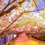 日本 Japan 日本必食 日本必吃 日本必到 日本必去 日本必買 日本必掃 日本自由行 日本行程 日本行程包 日本懶人包 日本好去處 日本景點 日本必到景點 日本美食 日本交通 日本攻略 日本自由行行程 日本自由行行程推薦 日本酒店 日本飯店 日本住宿 日本酒店推薦 日本飯店推薦 日本必住酒店 日本必住飯店 日本必食2019 日本必吃2019 日本必到2019 日本必去2019 日本必買2019 日本必掃2019 日本自由行2019 日本行程2019 日本行程包2019 日本懶人包2019 日本好去處2019 日本景點2019 日本必到景點2019 日本必去景點2019 日本美食2019 日本交通2019 日本攻略2019 日本自由行行程2019 日本自由行行程推薦2019 日本酒店2019 日本飯店2019 日本酒店推薦2019 日本飯店推薦2019 日本必住酒店2019 日本必住飯店2019 日本住宿2019 日本必食2020 日本必吃2020 日本必到2020 日本必去2020 日本必買2020 日本必掃2020 日本自由行2020 日本行程2020 日本行程包2020 日本懶人包2020 日本好去處2020 日本景點2020 日本必到景點2020 日本美食2020 日本交通2020 日本攻略2020 日本自由行行程2020 日本自由行行程推薦2020 日本酒店2020 日本飯店2020 日本住宿2020 日本酒店推薦2020 女飯店推薦2020 日本必住酒店2020 日本必住飯店2020 九州 Kyushu 九州必食 九州必吃 九州必到 九州必去 九州必買 九州必掃 九州自由行 行程 九州行程包 九州懶人包 九州好去處 九州景點 九州必到景點 九州美食 九州交通 九州攻略 九州自由行行程 九州自由行行程推薦 九州酒店 九州飯店 九州住宿 九州酒店推薦 九州飯店推薦 九州必住酒店 九州必住飯店 九州必食2019 九州必吃2019 九州必到2019 九州必去2019 九州必買2019 九州必掃2019 九州自由行2019 九州行程2019 九州行程包2019 九州懶人包2019 九州好去處2019 九州景點2019 九州必到景點2019 九州必去景點2019 九州美食2019 九州交通2019 九州攻略2019 九州自由行行程2019 九州自由行行程推薦2019 九州酒店2019 九州飯店2019 九州酒店推薦2019 九州飯店推薦2019 九州必住酒店2019 九州必住飯店2019 九州住宿2019 九州必食2020 九州必吃2020 九州必到2020 九州必去2020 九州必買2020 九州必掃2020 九州自由行2020 九州行程2020 九州行程包2020 九州懶人包2020 九州好去處2020 九州景點2020 九州必到景點2020 九州美食2020 九州交通2020 九州攻略2020 九州自由行行程2020 九州自由行行程推薦2020 九州酒店2020 九州飯店2020 九州住宿2020 九州酒店推薦2020 九州飯店推薦2020 九州必住酒店2020 九州必住飯店2020 大分 Oita 大分必食 大分必吃 大分必到 大分必去 大分必買 大分必掃 大分自由行 大分行程 大分行程包 大分懶人包 大分好去處 大分景點 大分必到景點 大分美食 大分交通 大分攻略 大分自由行行程 大分自由行行程推薦 大分酒店 大分飯店 大分住宿 大分酒店推薦 大分飯店推薦 大分必住酒店 大分必住飯店 大分必食2019 大分必吃2019 大分必到2019 大分必去2019 大分必買2019 大分必掃2019 大分自由行2019 大分行程2019 大分行程包2019 大分懶人包2019 大分好去處2019 大分景點2019 大分必到景點2019 大分必去景點2019大分 美食2019 大分交通2019 大分攻略2019 大分自由行行程2019 大分自由行行程推薦2019 大分酒店2019大分 飯店2019 大分酒店推薦2019 大分飯店推薦2019 大分必住酒店2019 大分必住飯店2019 大分住宿2019 大分必食2020 大分必吃2020 大分必到2020 大分必去2020 大分必買2020 大分必掃2020 大分自由行2020 大分行程2020 大分行程包2020 大分懶人包2020 大分好去處2020 大分景點2020 大分必到景點2020 大分美食2020 大分交通2020 大分攻略2020 大分自由行行程2020 大分自由行行程推薦2020 大分酒店2020 大分飯店2020 大分住宿2020 大分酒店推薦2020 大分飯店推薦2020 大分必住酒店2020 大分必住飯店2020 鹿兒島 Kagoshima 鹿兒島必食 鹿兒島必吃 鹿兒島必到 鹿兒島必去 鹿兒島必買 鹿兒島必掃 鹿兒島自由行 鹿兒島行程 鹿兒島行程包 鹿兒島懶人包 鹿兒島好去處 鹿兒島景點 鹿兒島必到景點 鹿兒島美食 鹿兒島交通 鹿兒島攻略 鹿兒島自由行行程鹿兒島 自由行行程推薦 鹿兒島酒店 鹿兒島飯店 鹿兒島住宿 鹿兒島酒店推薦 鹿兒島飯店推薦 鹿兒島必住酒店 鹿兒島必住飯店 鹿兒島必食2019 鹿兒島必吃2019 鹿兒島必到2019 鹿兒島必去2019 鹿兒島必買2019 鹿兒島必掃2019 鹿兒島自由行2019 鹿兒島行程2019 鹿兒島行程包2019 鹿兒島懶人包2019 鹿兒島好去處2019 鹿兒島景點2019 鹿兒島必到景點2019 鹿兒島必去景點2019 鹿兒島美食2019 鹿兒島交通2019 鹿兒島攻略2019 鹿兒島自由行行程2019 鹿兒島自由行行程推薦2019 鹿兒島酒店2019 鹿兒島飯店2019 鹿兒島酒店推薦2019 鹿兒島飯店推薦2019 鹿兒島必住酒店2019 鹿兒島必住飯店2019 鹿兒島住宿2019 鹿兒島必食2020 鹿兒島必吃2020 鹿兒島必到2020 鹿兒島必去2020 鹿兒島必買2020 鹿兒島必掃2020 鹿兒島自由行2020 鹿兒島行程2020 鹿兒島行程包2020 鹿兒島懶人包2020 鹿兒島好去處2020 鹿兒島景點2020 鹿兒島必到景點2020 鹿兒島美食2020 鹿兒島交通2020 鹿兒島攻略2020 鹿兒島自由行行程2020 鹿兒島自由行行程推薦2020 鹿兒島酒店2020鹿兒島飯店2020 鹿兒島住宿2020 鹿兒島酒店推薦2020 鹿兒島飯店推薦2020 鹿兒島必住酒店2020 鹿兒島必住飯店2020 長崎 Nagasaki 長崎必食長崎 必吃 長崎必到 長崎必去 長崎必買 長崎必掃 長崎自由行 長崎行程 長崎行程包 長崎懶人包 長崎好去處 長崎景點 長崎必到景點 長崎美食 長崎交通 長崎攻略 長崎自由行行程 長崎自由行行程推薦 長崎酒店 長崎飯店 長崎住宿 長崎酒店推薦 長崎飯店推薦 長崎必住酒店 長崎必住飯店 長崎必食2019 長崎必吃2019 長崎必到2019 長崎必去2019 長崎必買2019 長崎必掃2019 長崎自由行2019 長崎行程2019 長崎行程包2019 長崎懶人包2019 長崎好去處2019 長崎景點2019 長崎必到景點2019 長崎必去景點2019 長崎美食2019 長崎交通2019 長崎攻略2019 長崎自由行行程2019 長崎自由行行程推薦2019 長崎酒店2019 長崎飯店2019 長崎酒店推薦2019 長崎飯店推薦2019 長崎必住酒店2019 長崎必住飯店2019 長崎住宿2019 長崎必食2020 長崎必吃2020 長崎必到2020 長崎必去2020 長崎必買2020 長崎必掃2020 長崎自由行2020 長崎行程2020 長崎行程包2020 長崎懶人包2020 長崎好去處2020 長崎景點2020 長崎必到景點2020 長崎美食2020 長崎交通2020 長崎攻略2020 長崎自由行行程2020 長崎自由行行程推薦2020 長崎酒店2020 長崎飯店2020 長崎住宿2020 長崎酒店推薦2020 長崎飯店推薦2020 長崎必住酒店2020 長崎必住飯店2020 福岡 Hakata 福岡必食 福岡必吃 福岡必到 福岡必去 福岡必買 福岡必掃 福岡自由行 福岡行程 福岡行程包 福岡懶人包 福岡好去處 福岡景點 福岡必到景點 福岡美食 福岡交通 福岡攻略 福岡自由行行程 福岡自由行行程推薦 福岡酒店 福岡飯店 福岡住宿 福岡酒店推薦 福岡飯店推薦 福岡必住酒店 福岡必住飯店 福岡必食2019 福岡必吃2019 福岡必到2019 福岡必去2019 福岡必買2019 福岡必掃2019 福岡自由行2019 福岡行程2019 福岡行程包2019 福岡懶人包2019 福岡好去處2019 福岡景點2019 福岡必到景點2019 福岡必去景點2019 福岡美食2019 福岡交通2019 福岡攻略2019 福岡自由行行程2019 福岡自由行行程推薦2019 福岡酒店2019 福岡飯店2019 福岡酒店推薦2019 福岡飯店推薦2019 福岡必住酒店2019 福岡必住飯店2019 福岡住宿2019 福岡必食2020 福岡必吃2020 福岡必到2020 福岡必去2020 福岡必買2020 福岡必掃2020 福岡自由行2020 福岡行程2020 福岡行程包2020 福岡懶人包2020 福岡好去處2020 福岡景點2020 福岡必到景點2020 福岡美食2020 福岡交通2020 福岡攻略2020 福岡自由行行程2020 福岡自由行行程推薦2020 福岡酒店2020 福岡飯店2020 福岡住宿2020 福岡酒店推薦2020 福岡飯店推薦2020 福岡必住酒店2020 福岡必住飯店2020 熊本 Kumamoto 熊本必食 熊本必吃 熊本必到 熊本必去 熊本必買 熊本必掃 熊本自由行 熊本行程 熊本行程包 熊本懶人包 熊本好去處 熊本景點 熊本必到景點 熊本美食 熊本交通 熊本攻略 熊本自由行行程 熊本自由行行程推薦 熊本酒店 熊本飯店 熊本住宿 熊本酒店推薦 熊本飯店推薦 熊本必住酒店 熊本必住飯店 熊本必食2019 熊本必吃2019 熊本必到2019 熊本必去2019 熊本必買2019 熊本必掃2019 熊本自由行2019 熊本行程2019 熊本行程包2019 熊本懶人包2019 熊本好去處2019 熊本景點2019 熊本必到景點2019 熊本必去景點2019 熊本美食2019 熊本交通2019 熊本攻略2019 熊本自由行行程2019 熊本自由行行程推薦2019 熊本酒店2019 熊本飯店2019 熊本酒店推薦2019 熊本飯店推薦2019 熊本必住酒店2019 熊本必住飯店2019 住宿2019 熊本必食2020 熊本必吃2020 熊本必到2020 熊本必去2020 熊本必買2020 熊本必掃2020 熊本自由行2020 熊本行程2020 熊本行程包2020 熊本懶人包2020 熊本好去處2020 熊本景點2020 熊本必到景點2020 熊本美食2020 熊本交通2020 熊本攻略2020 熊本自由行行程2020 熊本自由行行程推薦2020 熊本酒店2020 熊本飯店2020 熊本住宿2020 熊本酒店推薦2020 熊本飯店推薦2020 熊本必住酒店2020 熊本必住飯店2020 佐賀 Saga 佐賀必食 佐賀必吃 佐賀必到 佐賀必去 佐賀必買 佐賀必掃 佐賀自由行 佐賀行程 佐賀行程包 佐賀懶人包 佐賀好去處 佐賀景點 佐賀必到景點 佐賀美食 佐賀交通 佐賀攻略 佐賀自由行行程 佐賀自由行行程推薦 佐賀酒店 佐賀飯店 佐賀住宿 佐賀酒店推薦 佐賀飯店推薦 佐賀必住酒店 佐賀必住飯店 佐賀必食2019 佐賀必吃2019 佐賀必到2019 佐賀必去2019 佐賀必買2019 佐賀必掃2019 佐賀自由行2019 佐賀行程2019 佐賀行程包2019 佐賀懶人包2019 佐賀好去處2019 佐賀景點2019 佐賀必到景點2019 佐賀必去景點2019 佐賀美食2019 佐賀交通2019 佐賀攻略2019 佐賀自由行行程2019 佐賀自由行行程推薦2019 佐賀酒店2019 佐賀飯店2019 佐賀酒店推薦2019 佐賀飯店推薦2019 佐賀必住酒店2019 佐賀必住飯店2019 佐賀住宿2019 佐賀必食2020 佐賀必吃2020 佐賀必到2020 佐賀必去2020 佐賀必買2020 佐賀必掃2020 佐賀自由行2020 佐賀行程2020 佐賀行程包2020 佐賀懶人包2020 佐賀好去處2020 佐賀景點2020 佐賀必到景點2020 佐賀美食2020 佐賀交通2020 佐賀攻略2020 佐賀自由行行程2020 佐賀自由行行程推薦2020 佐賀酒店2020 佐賀飯店2020 佐賀住宿2020 佐賀酒店推薦2020 佐賀飯店推薦2020 佐賀必住酒店2020 佐賀必住飯店2020 宮崎 Miyazaki 宮崎必食 宮崎必吃 宮崎必到 宮崎必去 宮崎必買 宮崎必掃 宮崎自由行 宮崎行程 宮崎行程包 宮崎懶人包 宮崎好去處 宮崎景點 宮崎必到景點 宮崎美食 宮崎交通 宮崎攻略 宮崎自由行行程 宮崎自由行行程推薦 宮崎酒店 宮崎飯店 宮崎住宿 宮崎酒店推薦 宮崎飯店推薦 宮崎必住酒店 宮崎必住飯店 宮崎必食2019 宮崎必吃2019 宮崎必到2019 宮崎必去2019 宮崎必買2019 宮崎必掃2019 宮崎自由行2019 宮崎行程2019 宮崎行程包2019 宮崎懶人包2019 宮崎好去處2019 宮崎景點2019 宮崎必到景點2019 宮崎必去景點2019 宮崎美食2019 宮崎交通2019 宮崎攻略2019 宮崎自由行行程2019 宮崎自由行行程推薦2019 宮崎酒店2019 宮崎飯店2019 宮崎酒店推薦2019 宮崎飯店推薦2019 宮崎必住酒店2019 宮崎必住飯店2019 宮崎住宿2019 宮崎必食2020 宮崎必吃2020 宮崎必到2020 宮崎必去2020 宮崎必買2020 宮崎必掃2020 宮崎自由行2020 宮崎行程2020 宮崎行程包2020 宮崎懶人包2020 宮崎好去處2020 宮崎景點2020 宮崎必到景點2020 宮崎美食2020 宮崎交通2020 宮崎攻略2020 宮崎自由行行程2020 宮崎自由行行程推薦2020 宮崎酒店2020 宮崎飯店2020 宮崎住宿2020 宮崎酒店推薦2020 宮崎飯店推薦2020 宮崎必住酒店2020 宮崎必住飯店2020 舞鶴公園 西公園 甘木公園 丸山公園 淺井的一本櫻 浅井の一本桜 秋月杉之馬場 秋月杉の馬場 小倉城勝山公園 勝山公園 一心行大櫻 一心行の大桜 水前寺成趣園 仙巖園 仙巌園 御船山樂園 御船山楽園 小城公園 母智丘公園 岡城跡 大村公園 日本櫻花 日本櫻花景點 日本賞櫻 日本櫻花攻略 日本賞櫻攻略 日本櫻花2020 日本櫻花景點2020 日本賞櫻2020 日本櫻花攻略2020 日本賞櫻攻略2020 福岡櫻花 福岡櫻花景點 福岡賞櫻 福岡櫻花攻略 福岡賞櫻攻略 福岡櫻花2020 福岡櫻花景點2020 福岡賞櫻2020 福岡櫻花攻略2020 福岡賞櫻攻略2020 熊本櫻花 熊本櫻花景點 熊本賞櫻 熊本櫻花攻略 熊本賞櫻攻略 熊本櫻花2020 熊本櫻花景點2020 熊本賞櫻2020 熊本櫻花攻略2020 熊本賞櫻攻略2020 鹿兒島櫻花 鹿兒島櫻花景點 鹿兒島賞櫻 鹿兒島櫻花攻略 鹿兒島賞櫻攻略 鹿兒島櫻花2020 鹿兒島櫻花景點2020 鹿兒島賞櫻2020 鹿兒島櫻花攻略2020 鹿兒島賞櫻攻略2020 佐賀櫻花 佐賀櫻花景點 佐賀賞櫻 佐賀櫻花攻略 佐賀賞櫻攻略 佐賀櫻花2020 佐賀櫻花景點2020 佐賀賞櫻2020 佐賀櫻花攻略2020 佐賀賞櫻攻略2020 宮崎櫻花 宮崎櫻花景點 宮崎賞櫻 宮崎櫻花攻略 宮崎賞櫻攻略 宮崎櫻花2020 宮崎櫻花景點2020 宮崎賞櫻2020 宮崎櫻花攻略2020 宮崎賞櫻攻略2020 大分櫻花 大分櫻花景點 大分賞櫻 大分櫻花攻略 大分賞櫻攻略 大分櫻花2020 大分櫻花景點2020 大分賞櫻2020 大分櫻花攻略2020 大分賞櫻攻略2020 長崎櫻花 長崎櫻花景點 長崎賞櫻 長崎櫻花攻略 長崎賞櫻攻略 長崎櫻花2020 長崎櫻花景點2020 長崎賞櫻2020 長崎櫻花攻略2020 長崎賞櫻攻略2020 舞鶴公園2019 舞鶴公園楓葉 舞鶴公園櫻花 舞鶴公園紅葉 舞鶴公園9月 舞鶴公園1月 舞鶴公園夜櫻 舞鶴公園交通 舞鶴公園12月 舞鶴公園英文 西公園櫻花2019 西公園仙台 西公園紅葉 福岡西公園櫻花 舞鶴公園 大濠公園 西公園交通 大濠公園美食 福岡城大濠公園 博多到大濠公園 甘木公園櫻花 甘木公園交通 舞鶴公園 福岡櫻花時間 舞鶴公園櫻花2019 福岡賞櫻時間 甘木觀光巴士 福岡櫻花2020 舞鶴公園夜櫻 福岡賞櫻2019 福岡櫻花時間 福岡櫻花2019 福岡櫻花祭 長崎櫻花2019 岡山櫻花2019 福岡絕景 櫻花季節 輕井澤櫻花 青森櫻花2019 日光櫻花2019 秋月日本 秋月城跡午餐 秋月城舊址 秋月城跡黑門 秋月城舊址交通 朝倉市美食 福岡秋月城跡賞楓 秋月城跡開放時間 秋月城跡楓葉 秋月城跡自駕 勝山公園紅葉 勝山公園楓葉 勝山公園櫻花 勝山公園停車場 小倉城 竉門神社 小倉城晚上 小倉城開放時間 福岡夜楓 一心行大櫻2019 白川水源 南阿蘇景點 白川水源2018 阿蘇景點2018 阿蘇地圖 熊本絕景 阿蘇山9月 阿蘇火山10月 草千里10月 水前寺成趣園紅葉 水前寺成趣園2019 水前寺成趣園必買 水前寺成趣園停留時間 水前寺成趣園冬天 水前寺成趣園停車 水前寺成趣園美食 水前寺成趣園抹茶 水前寺成趣園mapcode 水前寺成趣園楓葉 仙巖園停留時間 仙巖園和服 仙巖園紅葉 仙巖園星巴克 仙巖園貓神社 仙巖園世界遺產 仙巖園茶寮 仙巖園mapcode 仙巖園2018 仙巖園公車 御船山樂園2019 御船山樂園teamlab 御船山樂園值得去嗎 御船山樂園門票 御船山樂園櫻花 御船山樂園teamlab 2019 御船山樂園hotel 御船山樂園紅葉祭2019 佐賀御船山樂園teamlab 御船山樂園酒店blog 佐賀小城 小城景點 舞鶴公園 御船山樂園 佐賀小城景點 母智丘公園交通 岡城跡交通 岡城跡櫻花 岡城跡紅葉 大分縣岡城跡 岡城跡賞楓 岡城跡楓葉 岡城交通 岡城櫻花祭 豐後竹田車站 豐後景點 大村公園櫻花2019 大村公園2019 大村公園巴士 大村公園mapcode omura park大村公園 長崎大村公園櫻花2019 彰化大村公園 九州大村 大村公園玖島城跡 大村市景點