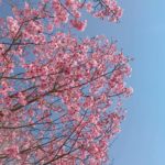 日本 Japan 日本必食 日本必吃 日本必到 日本必去 日本必買 日本必掃 日本自由行 日本行程 日本行程包 日本懶人包 日本好去處 日本景點 日本必到景點 日本美食 日本交通 日本攻略 日本自由行行程 日本自由行行程推薦 日本酒店 日本飯店 日本住宿 日本酒店推薦 日本飯店推薦 日本必住酒店 日本必住飯店 日本必食2019 日本必吃2019 日本必到2019 日本必去2019 日本必買2019 日本必掃2019 日本自由行2019 日本行程2019 日本行程包2019 日本懶人包2019 日本好去處2019 日本景點2019 日本必到景點2019 日本必去景點2019 日本美食2019 日本交通2019 日本攻略2019 日本自由行行程2019 日本自由行行程推薦2019 日本酒店2019 日本飯店2019 日本酒店推薦2019 日本飯店推薦2019 日本必住酒店2019 日本必住飯店2019 日本住宿2019 日本必食2020 日本必吃2020 日本必到2020 日本必去2020 日本必買2020 日本必掃2020 日本自由行2020 日本行程2020 日本行程包2020 日本懶人包2020 日本好去處2020 日本景點2020 日本必到景點2020 日本美食2020 日本交通2020 日本攻略2020 日本自由行行程2020 日本自由行行程推薦2020 日本酒店2020 日本飯店2020 日本住宿2020 日本酒店推薦2020 女飯店推薦2020 日本必住酒店2020 日本必住飯店2020 九州 Kyushu 九州必食 九州必吃 九州必到 九州必去 九州必買 九州必掃 九州自由行 行程 九州行程包 九州懶人包 九州好去處 九州景點 九州必到景點 九州美食 九州交通 九州攻略 九州自由行行程 九州自由行行程推薦 九州酒店 九州飯店 九州住宿 九州酒店推薦 九州飯店推薦 九州必住酒店 九州必住飯店 九州必食2019 九州必吃2019 九州必到2019 九州必去2019 九州必買2019 九州必掃2019 九州自由行2019 九州行程2019 九州行程包2019 九州懶人包2019 九州好去處2019 九州景點2019 九州必到景點2019 九州必去景點2019 九州美食2019 九州交通2019 九州攻略2019 九州自由行行程2019 九州自由行行程推薦2019 九州酒店2019 九州飯店2019 九州酒店推薦2019 九州飯店推薦2019 九州必住酒店2019 九州必住飯店2019 九州住宿2019 九州必食2020 九州必吃2020 九州必到2020 九州必去2020 九州必買2020 九州必掃2020 九州自由行2020 九州行程2020 九州行程包2020 九州懶人包2020 九州好去處2020 九州景點2020 九州必到景點2020 九州美食2020 九州交通2020 九州攻略2020 九州自由行行程2020 九州自由行行程推薦2020 九州酒店2020 九州飯店2020 九州住宿2020 九州酒店推薦2020 九州飯店推薦2020 九州必住酒店2020 九州必住飯店2020 大分 Oita 大分必食 大分必吃 大分必到 大分必去 大分必買 大分必掃 大分自由行 大分行程 大分行程包 大分懶人包 大分好去處 大分景點 大分必到景點 大分美食 大分交通 大分攻略 大分自由行行程 大分自由行行程推薦 大分酒店 大分飯店 大分住宿 大分酒店推薦 大分飯店推薦 大分必住酒店 大分必住飯店 大分必食2019 大分必吃2019 大分必到2019 大分必去2019 大分必買2019 大分必掃2019 大分自由行2019 大分行程2019 大分行程包2019 大分懶人包2019 大分好去處2019 大分景點2019 大分必到景點2019 大分必去景點2019大分 美食2019 大分交通2019 大分攻略2019 大分自由行行程2019 大分自由行行程推薦2019 大分酒店2019大分 飯店2019 大分酒店推薦2019 大分飯店推薦2019 大分必住酒店2019 大分必住飯店2019 大分住宿2019 大分必食2020 大分必吃2020 大分必到2020 大分必去2020 大分必買2020 大分必掃2020 大分自由行2020 大分行程2020 大分行程包2020 大分懶人包2020 大分好去處2020 大分景點2020 大分必到景點2020 大分美食2020 大分交通2020 大分攻略2020 大分自由行行程2020 大分自由行行程推薦2020 大分酒店2020 大分飯店2020 大分住宿2020 大分酒店推薦2020 大分飯店推薦2020 大分必住酒店2020 大分必住飯店2020 鹿兒島 Kagoshima 鹿兒島必食 鹿兒島必吃 鹿兒島必到 鹿兒島必去 鹿兒島必買 鹿兒島必掃 鹿兒島自由行 鹿兒島行程 鹿兒島行程包 鹿兒島懶人包 鹿兒島好去處 鹿兒島景點 鹿兒島必到景點 鹿兒島美食 鹿兒島交通 鹿兒島攻略 鹿兒島自由行行程鹿兒島 自由行行程推薦 鹿兒島酒店 鹿兒島飯店 鹿兒島住宿 鹿兒島酒店推薦 鹿兒島飯店推薦 鹿兒島必住酒店 鹿兒島必住飯店 鹿兒島必食2019 鹿兒島必吃2019 鹿兒島必到2019 鹿兒島必去2019 鹿兒島必買2019 鹿兒島必掃2019 鹿兒島自由行2019 鹿兒島行程2019 鹿兒島行程包2019 鹿兒島懶人包2019 鹿兒島好去處2019 鹿兒島景點2019 鹿兒島必到景點2019 鹿兒島必去景點2019 鹿兒島美食2019 鹿兒島交通2019 鹿兒島攻略2019 鹿兒島自由行行程2019 鹿兒島自由行行程推薦2019 鹿兒島酒店2019 鹿兒島飯店2019 鹿兒島酒店推薦2019 鹿兒島飯店推薦2019 鹿兒島必住酒店2019 鹿兒島必住飯店2019 鹿兒島住宿2019 鹿兒島必食2020 鹿兒島必吃2020 鹿兒島必到2020 鹿兒島必去2020 鹿兒島必買2020 鹿兒島必掃2020 鹿兒島自由行2020 鹿兒島行程2020 鹿兒島行程包2020 鹿兒島懶人包2020 鹿兒島好去處2020 鹿兒島景點2020 鹿兒島必到景點2020 鹿兒島美食2020 鹿兒島交通2020 鹿兒島攻略2020 鹿兒島自由行行程2020 鹿兒島自由行行程推薦2020 鹿兒島酒店2020鹿兒島飯店2020 鹿兒島住宿2020 鹿兒島酒店推薦2020 鹿兒島飯店推薦2020 鹿兒島必住酒店2020 鹿兒島必住飯店2020 長崎 Nagasaki 長崎必食長崎 必吃 長崎必到 長崎必去 長崎必買 長崎必掃 長崎自由行 長崎行程 長崎行程包 長崎懶人包 長崎好去處 長崎景點 長崎必到景點 長崎美食 長崎交通 長崎攻略 長崎自由行行程 長崎自由行行程推薦 長崎酒店 長崎飯店 長崎住宿 長崎酒店推薦 長崎飯店推薦 長崎必住酒店 長崎必住飯店 長崎必食2019 長崎必吃2019 長崎必到2019 長崎必去2019 長崎必買2019 長崎必掃2019 長崎自由行2019 長崎行程2019 長崎行程包2019 長崎懶人包2019 長崎好去處2019 長崎景點2019 長崎必到景點2019 長崎必去景點2019 長崎美食2019 長崎交通2019 長崎攻略2019 長崎自由行行程2019 長崎自由行行程推薦2019 長崎酒店2019 長崎飯店2019 長崎酒店推薦2019 長崎飯店推薦2019 長崎必住酒店2019 長崎必住飯店2019 長崎住宿2019 長崎必食2020 長崎必吃2020 長崎必到2020 長崎必去2020 長崎必買2020 長崎必掃2020 長崎自由行2020 長崎行程2020 長崎行程包2020 長崎懶人包2020 長崎好去處2020 長崎景點2020 長崎必到景點2020 長崎美食2020 長崎交通2020 長崎攻略2020 長崎自由行行程2020 長崎自由行行程推薦2020 長崎酒店2020 長崎飯店2020 長崎住宿2020 長崎酒店推薦2020 長崎飯店推薦2020 長崎必住酒店2020 長崎必住飯店2020 福岡 Hakata 福岡必食 福岡必吃 福岡必到 福岡必去 福岡必買 福岡必掃 福岡自由行 福岡行程 福岡行程包 福岡懶人包 福岡好去處 福岡景點 福岡必到景點 福岡美食 福岡交通 福岡攻略 福岡自由行行程 福岡自由行行程推薦 福岡酒店 福岡飯店 福岡住宿 福岡酒店推薦 福岡飯店推薦 福岡必住酒店 福岡必住飯店 福岡必食2019 福岡必吃2019 福岡必到2019 福岡必去2019 福岡必買2019 福岡必掃2019 福岡自由行2019 福岡行程2019 福岡行程包2019 福岡懶人包2019 福岡好去處2019 福岡景點2019 福岡必到景點2019 福岡必去景點2019 福岡美食2019 福岡交通2019 福岡攻略2019 福岡自由行行程2019 福岡自由行行程推薦2019 福岡酒店2019 福岡飯店2019 福岡酒店推薦2019 福岡飯店推薦2019 福岡必住酒店2019 福岡必住飯店2019 福岡住宿2019 福岡必食2020 福岡必吃2020 福岡必到2020 福岡必去2020 福岡必買2020 福岡必掃2020 福岡自由行2020 福岡行程2020 福岡行程包2020 福岡懶人包2020 福岡好去處2020 福岡景點2020 福岡必到景點2020 福岡美食2020 福岡交通2020 福岡攻略2020 福岡自由行行程2020 福岡自由行行程推薦2020 福岡酒店2020 福岡飯店2020 福岡住宿2020 福岡酒店推薦2020 福岡飯店推薦2020 福岡必住酒店2020 福岡必住飯店2020 熊本 Kumamoto 熊本必食 熊本必吃 熊本必到 熊本必去 熊本必買 熊本必掃 熊本自由行 熊本行程 熊本行程包 熊本懶人包 熊本好去處 熊本景點 熊本必到景點 熊本美食 熊本交通 熊本攻略 熊本自由行行程 熊本自由行行程推薦 熊本酒店 熊本飯店 熊本住宿 熊本酒店推薦 熊本飯店推薦 熊本必住酒店 熊本必住飯店 熊本必食2019 熊本必吃2019 熊本必到2019 熊本必去2019 熊本必買2019 熊本必掃2019 熊本自由行2019 熊本行程2019 熊本行程包2019 熊本懶人包2019 熊本好去處2019 熊本景點2019 熊本必到景點2019 熊本必去景點2019 熊本美食2019 熊本交通2019 熊本攻略2019 熊本自由行行程2019 熊本自由行行程推薦2019 熊本酒店2019 熊本飯店2019 熊本酒店推薦2019 熊本飯店推薦2019 熊本必住酒店2019 熊本必住飯店2019 住宿2019 熊本必食2020 熊本必吃2020 熊本必到2020 熊本必去2020 熊本必買2020 熊本必掃2020 熊本自由行2020 熊本行程2020 熊本行程包2020 熊本懶人包2020 熊本好去處2020 熊本景點2020 熊本必到景點2020 熊本美食2020 熊本交通2020 熊本攻略2020 熊本自由行行程2020 熊本自由行行程推薦2020 熊本酒店2020 熊本飯店2020 熊本住宿2020 熊本酒店推薦2020 熊本飯店推薦2020 熊本必住酒店2020 熊本必住飯店2020 佐賀 Saga 佐賀必食 佐賀必吃 佐賀必到 佐賀必去 佐賀必買 佐賀必掃 佐賀自由行 佐賀行程 佐賀行程包 佐賀懶人包 佐賀好去處 佐賀景點 佐賀必到景點 佐賀美食 佐賀交通 佐賀攻略 佐賀自由行行程 佐賀自由行行程推薦 佐賀酒店 佐賀飯店 佐賀住宿 佐賀酒店推薦 佐賀飯店推薦 佐賀必住酒店 佐賀必住飯店 佐賀必食2019 佐賀必吃2019 佐賀必到2019 佐賀必去2019 佐賀必買2019 佐賀必掃2019 佐賀自由行2019 佐賀行程2019 佐賀行程包2019 佐賀懶人包2019 佐賀好去處2019 佐賀景點2019 佐賀必到景點2019 佐賀必去景點2019 佐賀美食2019 佐賀交通2019 佐賀攻略2019 佐賀自由行行程2019 佐賀自由行行程推薦2019 佐賀酒店2019 佐賀飯店2019 佐賀酒店推薦2019 佐賀飯店推薦2019 佐賀必住酒店2019 佐賀必住飯店2019 佐賀住宿2019 佐賀必食2020 佐賀必吃2020 佐賀必到2020 佐賀必去2020 佐賀必買2020 佐賀必掃2020 佐賀自由行2020 佐賀行程2020 佐賀行程包2020 佐賀懶人包2020 佐賀好去處2020 佐賀景點2020 佐賀必到景點2020 佐賀美食2020 佐賀交通2020 佐賀攻略2020 佐賀自由行行程2020 佐賀自由行行程推薦2020 佐賀酒店2020 佐賀飯店2020 佐賀住宿2020 佐賀酒店推薦2020 佐賀飯店推薦2020 佐賀必住酒店2020 佐賀必住飯店2020 宮崎 Miyazaki 宮崎必食 宮崎必吃 宮崎必到 宮崎必去 宮崎必買 宮崎必掃 宮崎自由行 宮崎行程 宮崎行程包 宮崎懶人包 宮崎好去處 宮崎景點 宮崎必到景點 宮崎美食 宮崎交通 宮崎攻略 宮崎自由行行程 宮崎自由行行程推薦 宮崎酒店 宮崎飯店 宮崎住宿 宮崎酒店推薦 宮崎飯店推薦 宮崎必住酒店 宮崎必住飯店 宮崎必食2019 宮崎必吃2019 宮崎必到2019 宮崎必去2019 宮崎必買2019 宮崎必掃2019 宮崎自由行2019 宮崎行程2019 宮崎行程包2019 宮崎懶人包2019 宮崎好去處2019 宮崎景點2019 宮崎必到景點2019 宮崎必去景點2019 宮崎美食2019 宮崎交通2019 宮崎攻略2019 宮崎自由行行程2019 宮崎自由行行程推薦2019 宮崎酒店2019 宮崎飯店2019 宮崎酒店推薦2019 宮崎飯店推薦2019 宮崎必住酒店2019 宮崎必住飯店2019 宮崎住宿2019 宮崎必食2020 宮崎必吃2020 宮崎必到2020 宮崎必去2020 宮崎必買2020 宮崎必掃2020 宮崎自由行2020 宮崎行程2020 宮崎行程包2020 宮崎懶人包2020 宮崎好去處2020 宮崎景點2020 宮崎必到景點2020 宮崎美食2020 宮崎交通2020 宮崎攻略2020 宮崎自由行行程2020 宮崎自由行行程推薦2020 宮崎酒店2020 宮崎飯店2020 宮崎住宿2020 宮崎酒店推薦2020 宮崎飯店推薦2020 宮崎必住酒店2020 宮崎必住飯店2020 舞鶴公園 西公園 甘木公園 丸山公園 淺井的一本櫻 浅井の一本桜 秋月杉之馬場 秋月杉の馬場 小倉城勝山公園 勝山公園 一心行大櫻 一心行の大桜 水前寺成趣園 仙巖園 仙巌園 御船山樂園 御船山楽園 小城公園 母智丘公園 岡城跡 大村公園 日本櫻花 日本櫻花景點 日本賞櫻 日本櫻花攻略 日本賞櫻攻略 日本櫻花2020 日本櫻花景點2020 日本賞櫻2020 日本櫻花攻略2020 日本賞櫻攻略2020 福岡櫻花 福岡櫻花景點 福岡賞櫻 福岡櫻花攻略 福岡賞櫻攻略 福岡櫻花2020 福岡櫻花景點2020 福岡賞櫻2020 福岡櫻花攻略2020 福岡賞櫻攻略2020 熊本櫻花 熊本櫻花景點 熊本賞櫻 熊本櫻花攻略 熊本賞櫻攻略 熊本櫻花2020 熊本櫻花景點2020 熊本賞櫻2020 熊本櫻花攻略2020 熊本賞櫻攻略2020 鹿兒島櫻花 鹿兒島櫻花景點 鹿兒島賞櫻 鹿兒島櫻花攻略 鹿兒島賞櫻攻略 鹿兒島櫻花2020 鹿兒島櫻花景點2020 鹿兒島賞櫻2020 鹿兒島櫻花攻略2020 鹿兒島賞櫻攻略2020 佐賀櫻花 佐賀櫻花景點 佐賀賞櫻 佐賀櫻花攻略 佐賀賞櫻攻略 佐賀櫻花2020 佐賀櫻花景點2020 佐賀賞櫻2020 佐賀櫻花攻略2020 佐賀賞櫻攻略2020 宮崎櫻花 宮崎櫻花景點 宮崎賞櫻 宮崎櫻花攻略 宮崎賞櫻攻略 宮崎櫻花2020 宮崎櫻花景點2020 宮崎賞櫻2020 宮崎櫻花攻略2020 宮崎賞櫻攻略2020 大分櫻花 大分櫻花景點 大分賞櫻 大分櫻花攻略 大分賞櫻攻略 大分櫻花2020 大分櫻花景點2020 大分賞櫻2020 大分櫻花攻略2020 大分賞櫻攻略2020 長崎櫻花 長崎櫻花景點 長崎賞櫻 長崎櫻花攻略 長崎賞櫻攻略 長崎櫻花2020 長崎櫻花景點2020 長崎賞櫻2020 長崎櫻花攻略2020 長崎賞櫻攻略2020 舞鶴公園2019 舞鶴公園楓葉 舞鶴公園櫻花 舞鶴公園紅葉 舞鶴公園9月 舞鶴公園1月 舞鶴公園夜櫻 舞鶴公園交通 舞鶴公園12月 舞鶴公園英文 西公園櫻花2019 西公園仙台 西公園紅葉 福岡西公園櫻花 舞鶴公園 大濠公園 西公園交通 大濠公園美食 福岡城大濠公園 博多到大濠公園 甘木公園櫻花 甘木公園交通 舞鶴公園 福岡櫻花時間 舞鶴公園櫻花2019 福岡賞櫻時間 甘木觀光巴士 福岡櫻花2020 舞鶴公園夜櫻 福岡賞櫻2019 福岡櫻花時間 福岡櫻花2019 福岡櫻花祭 長崎櫻花2019 岡山櫻花2019 福岡絕景 櫻花季節 輕井澤櫻花 青森櫻花2019 日光櫻花2019 秋月日本 秋月城跡午餐 秋月城舊址 秋月城跡黑門 秋月城舊址交通 朝倉市美食 福岡秋月城跡賞楓 秋月城跡開放時間 秋月城跡楓葉 秋月城跡自駕 勝山公園紅葉 勝山公園楓葉 勝山公園櫻花 勝山公園停車場 小倉城 竉門神社 小倉城晚上 小倉城開放時間 福岡夜楓 一心行大櫻2019 白川水源 南阿蘇景點 白川水源2018 阿蘇景點2018 阿蘇地圖 熊本絕景 阿蘇山9月 阿蘇火山10月 草千里10月 水前寺成趣園紅葉 水前寺成趣園2019 水前寺成趣園必買 水前寺成趣園停留時間 水前寺成趣園冬天 水前寺成趣園停車 水前寺成趣園美食 水前寺成趣園抹茶 水前寺成趣園mapcode 水前寺成趣園楓葉 仙巖園停留時間 仙巖園和服 仙巖園紅葉 仙巖園星巴克 仙巖園貓神社 仙巖園世界遺產 仙巖園茶寮 仙巖園mapcode 仙巖園2018 仙巖園公車 御船山樂園2019 御船山樂園teamlab 御船山樂園值得去嗎 御船山樂園門票 御船山樂園櫻花 御船山樂園teamlab 2019 御船山樂園hotel 御船山樂園紅葉祭2019 佐賀御船山樂園teamlab 御船山樂園酒店blog 佐賀小城 小城景點 舞鶴公園 御船山樂園 佐賀小城景點 母智丘公園交通 岡城跡交通 岡城跡櫻花 岡城跡紅葉 大分縣岡城跡 岡城跡賞楓 岡城跡楓葉 岡城交通 岡城櫻花祭 豐後竹田車站 豐後景點 大村公園櫻花2019 大村公園2019 大村公園巴士 大村公園mapcode omura park大村公園 長崎大村公園櫻花2019 彰化大村公園 九州大村 大村公園玖島城跡 大村市景點