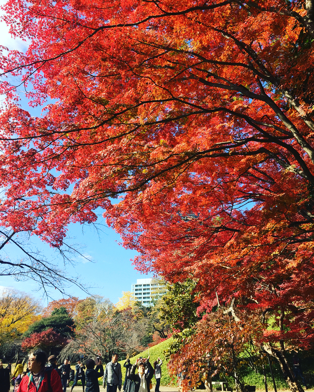 小石川後樂園|日本 Japan 日本必食 日本必吃 日本必到 日本必去 日本必買 日本必掃 日本自由行 日本行程 日本行程包 日本懶人包 日本好去處 日本景點 日本必到景點 日本必去景點 日本美食 日本交通 日本攻略 日本自由行行程 日本自由行行程推薦 日本酒店 日本飯店 日本酒店推薦 日本飯店推薦 日本必住酒店 日本必住飯店 日本必食2019 日本必吃2019 日本必到2019 日本必去2019 日本必買2019 日本必掃2019 日本自由行2019 日本行程2019 日本行程包2019 日本懶人包2019 日本好去處2019 日本景點2019 日本必到景點2019 日本必去景點2019 日本美食2019 日本交通2019 日本攻略2019 日本自由行行程2019 日本自由行行程推薦2019 日本酒店2019 日本飯店2019 日本酒店推薦2019 日本飯店推薦2019 日本必住酒店2019 日本必住飯店2019 東京 Tokyo 東京必食 東京必吃 東京必到 東京必去 東京必買 東京必掃 東京自由行 東京行程 東京行程包 東京懶人包 東京好去處 東京景點 東京必到景點 東京必去景點 東京美食 東京交通 東京攻略 東京自由行行程 東京自由行行程推薦 東京酒店 東京飯店 東京酒店推薦 東京飯店推薦 東京必住酒店 東京必住飯店 東京必食2019 東京必吃2019 東京必到2019 東京必去2019 東京必買2019 東京必掃2019 東京自由行2019 東京行程2019 東京行程包2019 東京懶人包2019 東京好去處2019 東京景點2019 東京必到景點2019 東京必去景點2019 東京美食2019 東京交通2019 東京攻略2019 東京自由行行程2019 東京自由行行程推薦2019 東京酒店2019 東京飯店2019 東京酒店推薦2019 東京飯店推薦2019 東京必住酒店2019 東京必住飯店2019 銀杏2019 日本銀杏 日本銀杏2019 東京銀杏 東京銀杏2019 楓葉2019 紅葉2019 日本楓葉2019 日本楓葉 日本紅葉 日本紅葉2019 東京楓葉2019 東京楓葉 東京紅葉 東京紅葉2019 國營昭和紀念公園 國營昭和紀念公園紅葉 國營昭和紀念公園楓葉 國營昭和紀念公園2019 國營昭和紀念公園紅葉2019 國營昭和紀念公園楓葉2019六義園 六義園紅葉 六義園楓葉 六義園2019 六義園紅葉2019 六義園楓葉2019 新宿御苑 新宿御苑紅葉 新宿御苑楓葉 新宿御苑2019 新宿御苑紅葉2019 新宿御苑楓葉2019 小石川後樂園 小石川後樂園紅葉 小石川後樂園楓葉 小石川後樂園2019 小石川後樂園紅葉2019 小石川後樂園楓葉2019 井之頭恩賜公園 井之頭恩賜公園紅葉 井之頭恩賜公園楓葉 井之頭恩賜公園2019 井之頭恩賜公園紅葉2019 井之頭恩賜公園楓葉2019 飛鳥山公園 飛鳥山公園紅葉 飛鳥山公園楓葉 飛鳥山公園2019 飛鳥山公園紅葉2019 飛鳥山公園楓葉2019 代代木公園 代代木公園紅葉 代代木公園楓葉 代代木公園2019 代代木公園紅葉2019 代代木公園楓葉2019 上野恩賜公園 上野恩賜公園紅葉 上野恩賜公園楓葉 上野恩賜公園2019 上野恩賜公園紅葉2019 上野恩賜公園楓葉2019 小石川後樂園楓葉 小石川後樂園5月 小石川後樂園夏天 小石川後樂園2019 小石川後樂園冬天 神樂坂小石川後樂園六義園池袋 小石川後樂園景點 小石川後樂園櫻花2019 小石川後楽園 後樂園東京