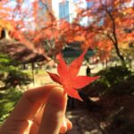 小石川後樂園|日本 Japan 日本必食 日本必吃 日本必到 日本必去 日本必買 日本必掃 日本自由行 日本行程 日本行程包 日本懶人包 日本好去處 日本景點 日本必到景點 日本必去景點 日本美食 日本交通 日本攻略 日本自由行行程 日本自由行行程推薦 日本酒店 日本飯店 日本酒店推薦 日本飯店推薦 日本必住酒店 日本必住飯店 日本必食2019 日本必吃2019 日本必到2019 日本必去2019 日本必買2019 日本必掃2019 日本自由行2019 日本行程2019 日本行程包2019 日本懶人包2019 日本好去處2019 日本景點2019 日本必到景點2019 日本必去景點2019 日本美食2019 日本交通2019 日本攻略2019 日本自由行行程2019 日本自由行行程推薦2019 日本酒店2019 日本飯店2019 日本酒店推薦2019 日本飯店推薦2019 日本必住酒店2019 日本必住飯店2019 東京 Tokyo 東京必食 東京必吃 東京必到 東京必去 東京必買 東京必掃 東京自由行 東京行程 東京行程包 東京懶人包 東京好去處 東京景點 東京必到景點 東京必去景點 東京美食 東京交通 東京攻略 東京自由行行程 東京自由行行程推薦 東京酒店 東京飯店 東京酒店推薦 東京飯店推薦 東京必住酒店 東京必住飯店 東京必食2019 東京必吃2019 東京必到2019 東京必去2019 東京必買2019 東京必掃2019 東京自由行2019 東京行程2019 東京行程包2019 東京懶人包2019 東京好去處2019 東京景點2019 東京必到景點2019 東京必去景點2019 東京美食2019 東京交通2019 東京攻略2019 東京自由行行程2019 東京自由行行程推薦2019 東京酒店2019 東京飯店2019 東京酒店推薦2019 東京飯店推薦2019 東京必住酒店2019 東京必住飯店2019 銀杏2019 日本銀杏 日本銀杏2019 東京銀杏 東京銀杏2019 楓葉2019 紅葉2019 日本楓葉2019 日本楓葉 日本紅葉 日本紅葉2019 東京楓葉2019 東京楓葉 東京紅葉 東京紅葉2019 國營昭和紀念公園 國營昭和紀念公園紅葉 國營昭和紀念公園楓葉 國營昭和紀念公園2019 國營昭和紀念公園紅葉2019 國營昭和紀念公園楓葉2019六義園 六義園紅葉 六義園楓葉 六義園2019 六義園紅葉2019 六義園楓葉2019 新宿御苑 新宿御苑紅葉 新宿御苑楓葉 新宿御苑2019 新宿御苑紅葉2019 新宿御苑楓葉2019 小石川後樂園 小石川後樂園紅葉 小石川後樂園楓葉 小石川後樂園2019 小石川後樂園紅葉2019 小石川後樂園楓葉2019 井之頭恩賜公園 井之頭恩賜公園紅葉 井之頭恩賜公園楓葉 井之頭恩賜公園2019 井之頭恩賜公園紅葉2019 井之頭恩賜公園楓葉2019 飛鳥山公園 飛鳥山公園紅葉 飛鳥山公園楓葉 飛鳥山公園2019 飛鳥山公園紅葉2019 飛鳥山公園楓葉2019 代代木公園 代代木公園紅葉 代代木公園楓葉 代代木公園2019 代代木公園紅葉2019 代代木公園楓葉2019 上野恩賜公園 上野恩賜公園紅葉 上野恩賜公園楓葉 上野恩賜公園2019 上野恩賜公園紅葉2019 上野恩賜公園楓葉2019 小石川後樂園楓葉 小石川後樂園5月 小石川後樂園夏天 小石川後樂園2019 小石川後樂園冬天 神樂坂小石川後樂園六義園池袋 小石川後樂園景點 小石川後樂園櫻花2019 小石川後楽園 後樂園東京