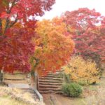 竹田 竹樂 竹楽 岡城阯の紅葉 岡城阯紅葉 岡城阯 紅葉 岡城跡 岡城跡 紅葉 2019 岡城跡紅葉 2019 大分 紅葉 景點 2019 大分紅葉景點 2019 大分 紅葉景點 2019 大分紅葉 2019 大分紅葉2019 大分 紅葉 大分紅葉 2019 大分紅葉2019 大分賞楓 2019 大分賞楓2019 大分賞楓景點 2019 大分賞楓景點2019 大分夜楓 2019 大分夜楓2019 大分夜楓景點2019 大分夜楓景點 2019 九州紅葉 2019 九州紅葉2019 九州紅葉 景點 2019 九州紅葉景點 2019 九州紅葉景點2019 九州賞楓 2019 九州賞楓2019 九州賞楓景點 2019 九州賞楓景點2019 九州賞楓 景點 2019 九州夜楓2019 九州夜楓 2019 九州夜楓景點2019 九州夜楓景點 2019 九州夜楓 景點 2019 九州楓葉2019 九州楓葉 2019 九州楓葉景點2019 九州楓葉景點 2019 九州 紅葉祭 2019 九州景點 九州必去 九州必看 九州自由行 九州行程 九州自由行行程推薦 九州自由行行程推介 九州自由行行程
