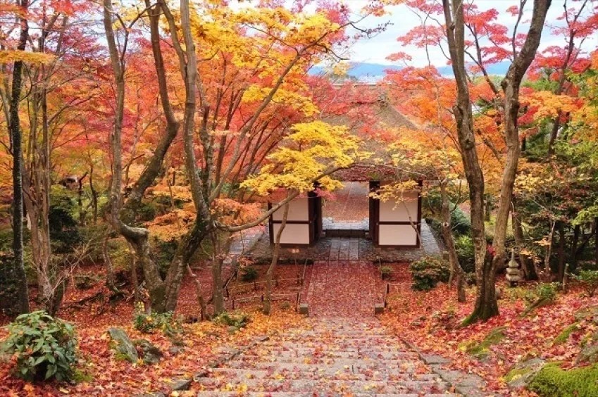 京都一天行程: 嵐山紅葉遊