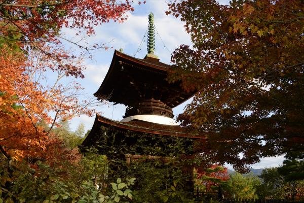 京都一天行程: 嵐山紅葉遊