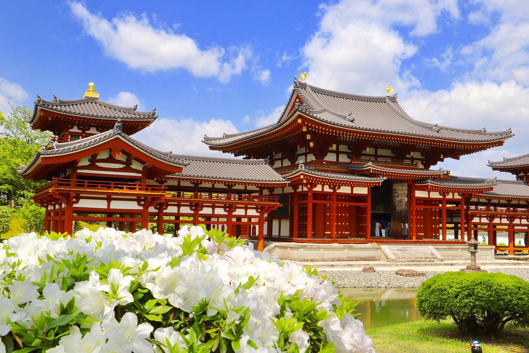 平等院 平等院夜間 平等院鳳翔館 平等院櫻花 平等院英文 平等院日幣 平等院楓葉 平等院御守 平等院紫藤 平等院硬幣 平等院紅葉 紅葉 楓葉 byodo-in temple びょうどういん
