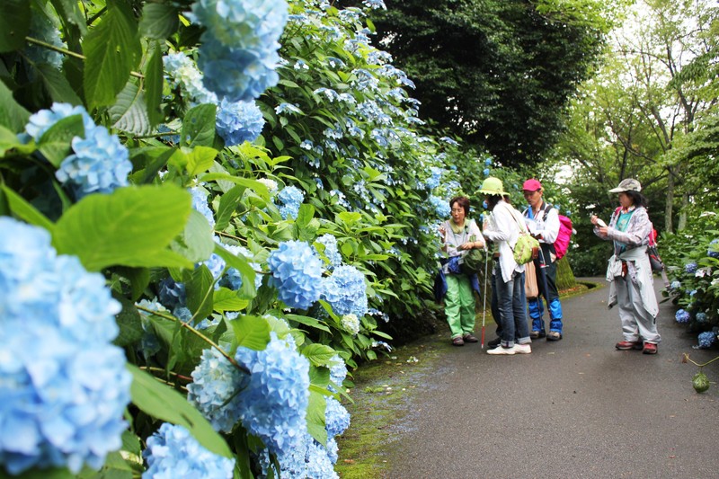 府民之森額田園地 (1)