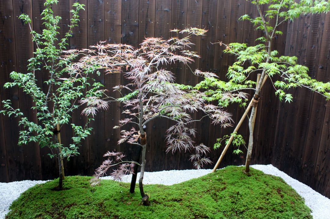 庭園