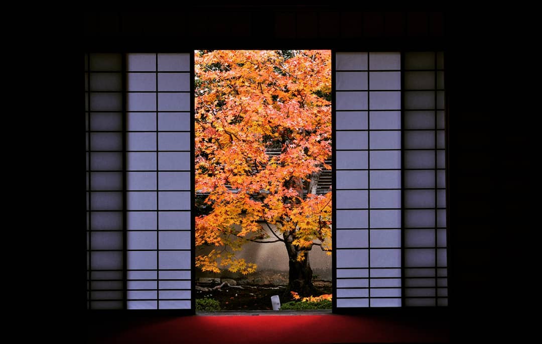 御寺泉涌寺 泉涌寺 月輪山 御座所庭園 應仁之亂 舍利殿 伽籃 泉涌寺雲龍院 せんにゅうじ 泉湧寺抄經 泉涌寺七福神 東福寺