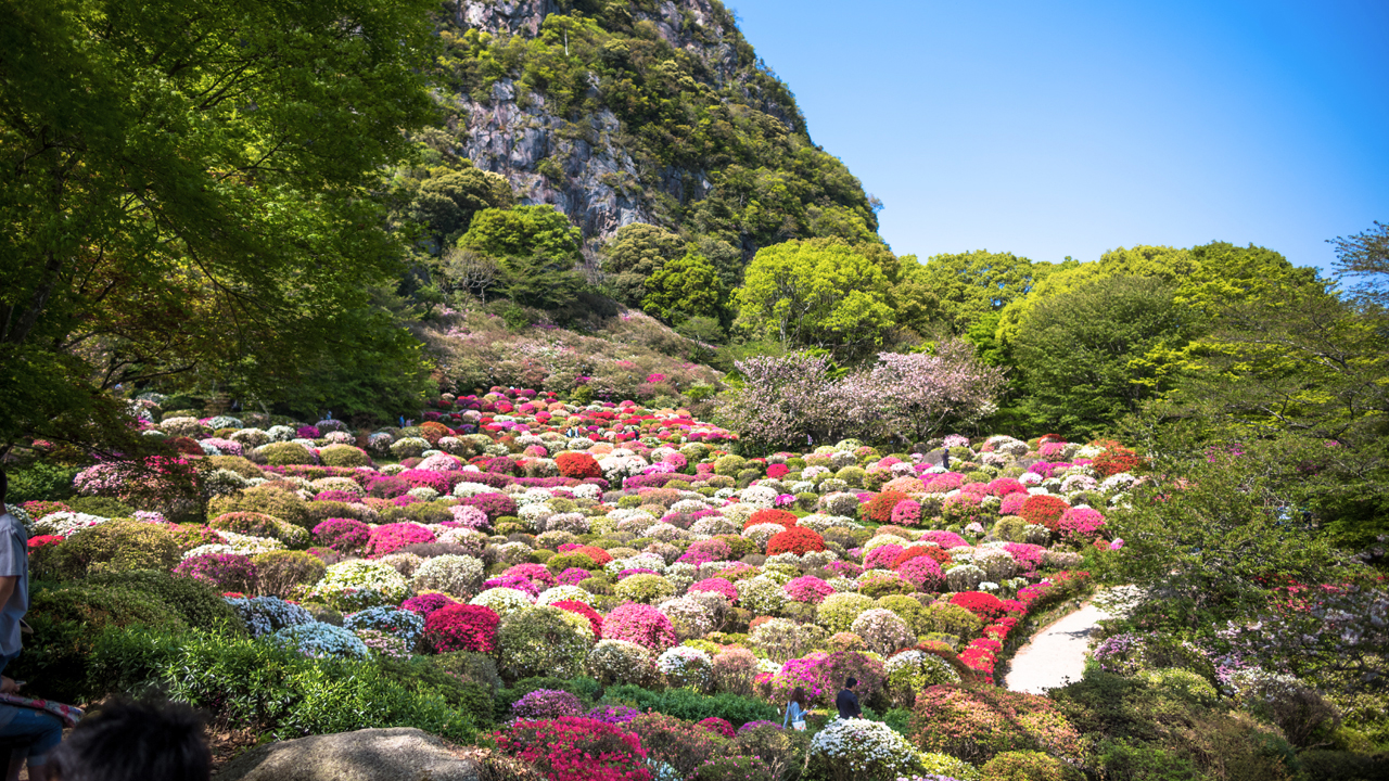 御船山樂園賞櫻 御船山樂園賞楓 御船山樂園花祭 御船山樂園紅葉祭 御船山樂園 花祭 御船山樂園 紅葉祭 九州溫泉 九州自由行 福岡自由行 九州好去處 武雄溫泉一泊二食溫泉旅館 武雄溫泉 一泊二食溫泉旅館 武雄溫泉 一泊二食 溫泉旅館 御船山樂園 武雄溫泉 武雄 武雄神社 武雄圖書館 京都屋 武雄市圖書館 武雄大楠 佐賀武雄 武雄溫泉樓門 武雄佐賀牛 武雄京都屋 武雄溫泉大眾浴場 九州