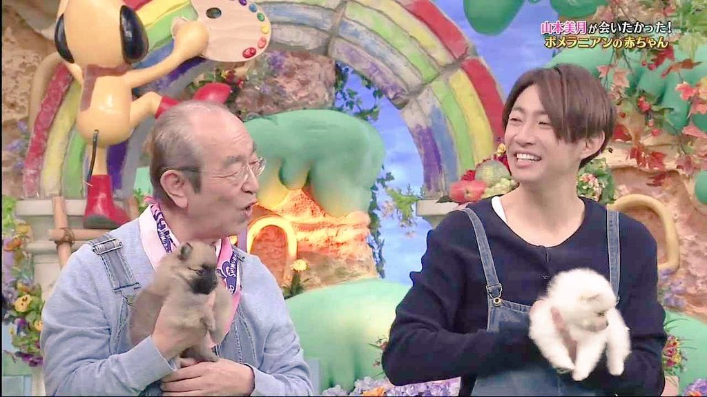 志村健 志村動物園 志村健逝世 阿笨與阿占 新冠肺炎 武漢肺炎 新型冠狀病毒 COVID-19