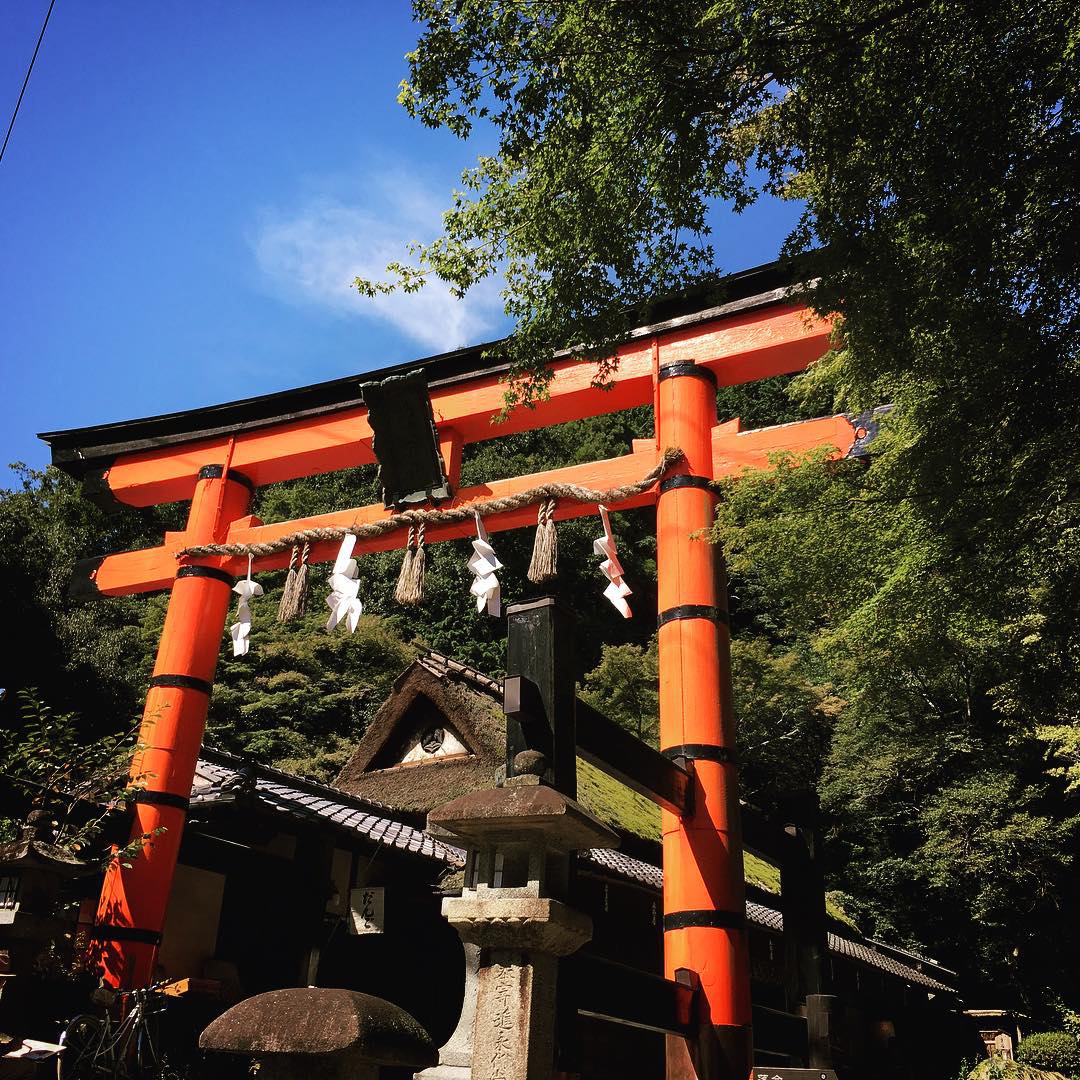 愛宕神社 火廼要慎 阿多古神社 愛宕さん あたごじんじゃ Atago Shrine AtagoShrine 櫻花 愛宕神社京都 愛宕神社御守 愛宕神社櫻花 京都愛宕神社交通 愛宕神社出世 愛宕神社日劇