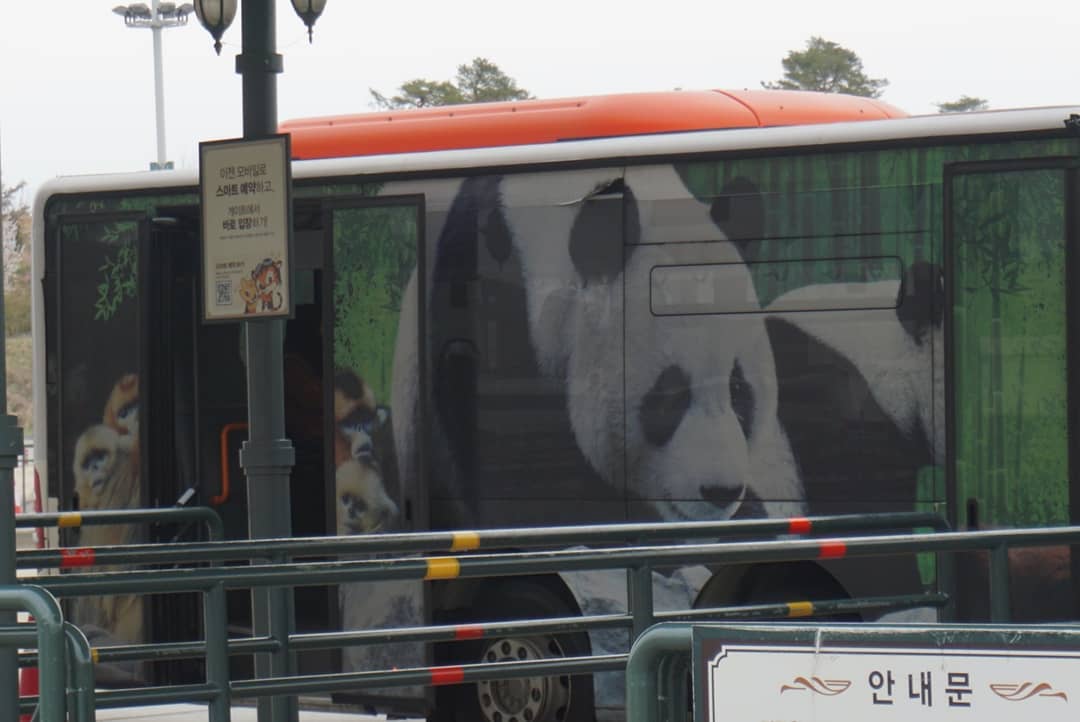 愛寶樂園 愛寶樂園 交通 韓國 愛寶樂園 愛寶樂園 雲霄飛車 愛寶樂園 門票 愛寶樂園 樂天世界 愛寶樂園 動物 愛寶樂園 英文 愛寶樂園 韓文 首爾 愛寶樂園 愛寶樂園 鬼屋 愛寶樂園 攻略 韓國 愛寶樂園 雲霄飛車 愛寶樂園 營業時間 愛寶樂園 吃 everland 愛寶樂園 愛寶樂園 過山車 愛寶樂園 優惠 愛寶樂園 q pass