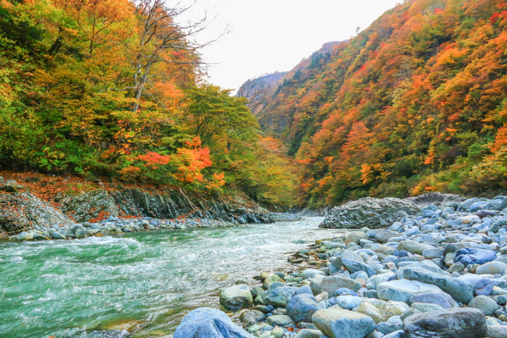 清津峽紅葉 新潟自由行 新潟旅遊 新潟景點 新潟行程