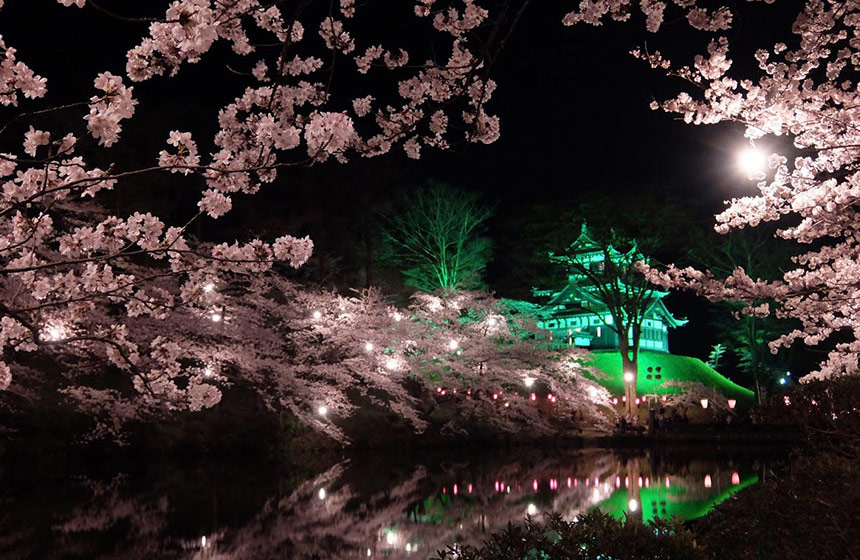 高田公園高田城夜櫻 新潟自由行 新潟旅遊 新潟景點 新潟行程