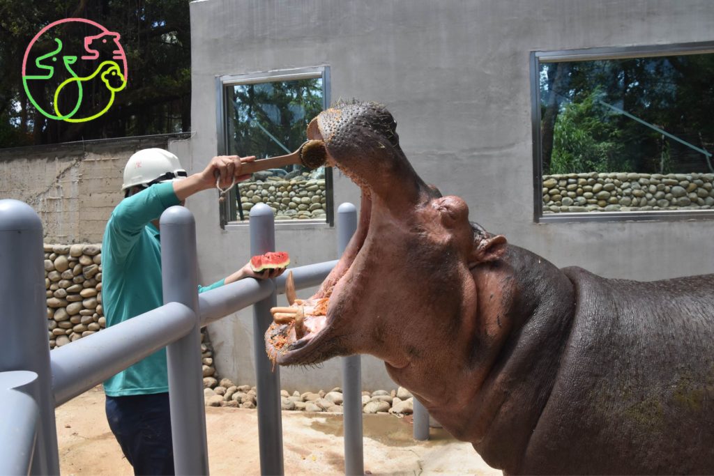 新竹 新竹一日遊 新竹景點 新竹美食
新竹市立動物園