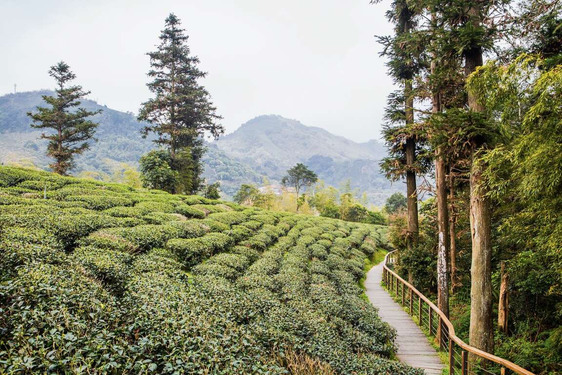 梅山雲之南步道