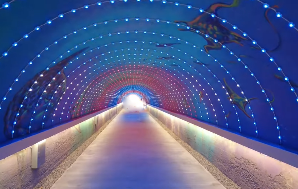 旗津星空隧道神秘又浪漫,璀璨燈光點綴黑暗隧道,營造如同置身星空的迷人氛圍,是夜間散步與拍照的絕佳景點!