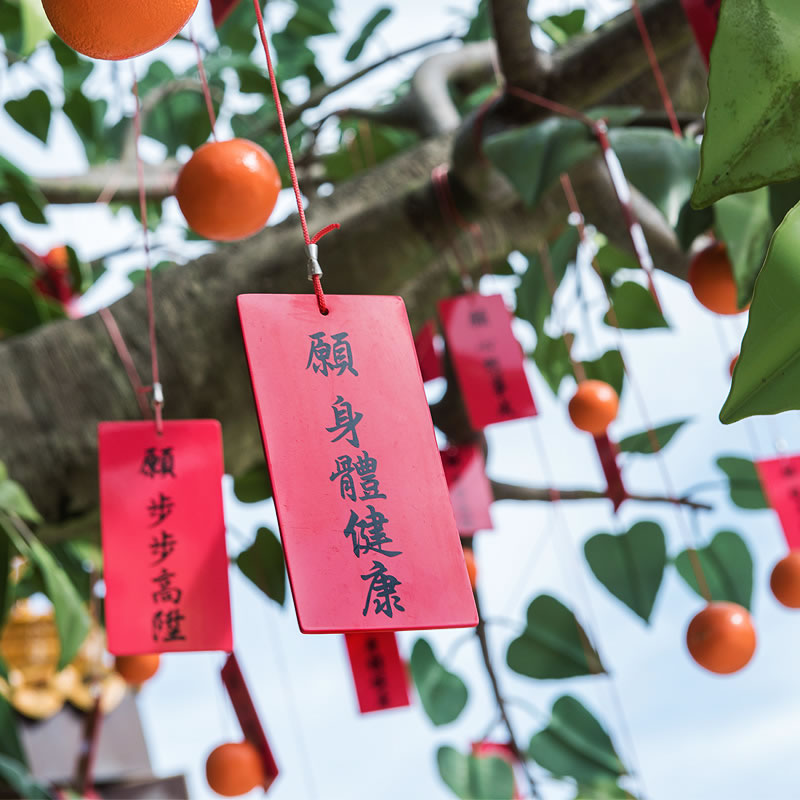 假日好去處 昂坪 360 優惠 昂坪市集 BTS FILA 昂坪 巴士 昂坪 大澳 昂坪 纜車 菩提許願樹 香港巧克力藝術坊 360動感影院 寶蓮禪寺 天壇大佛